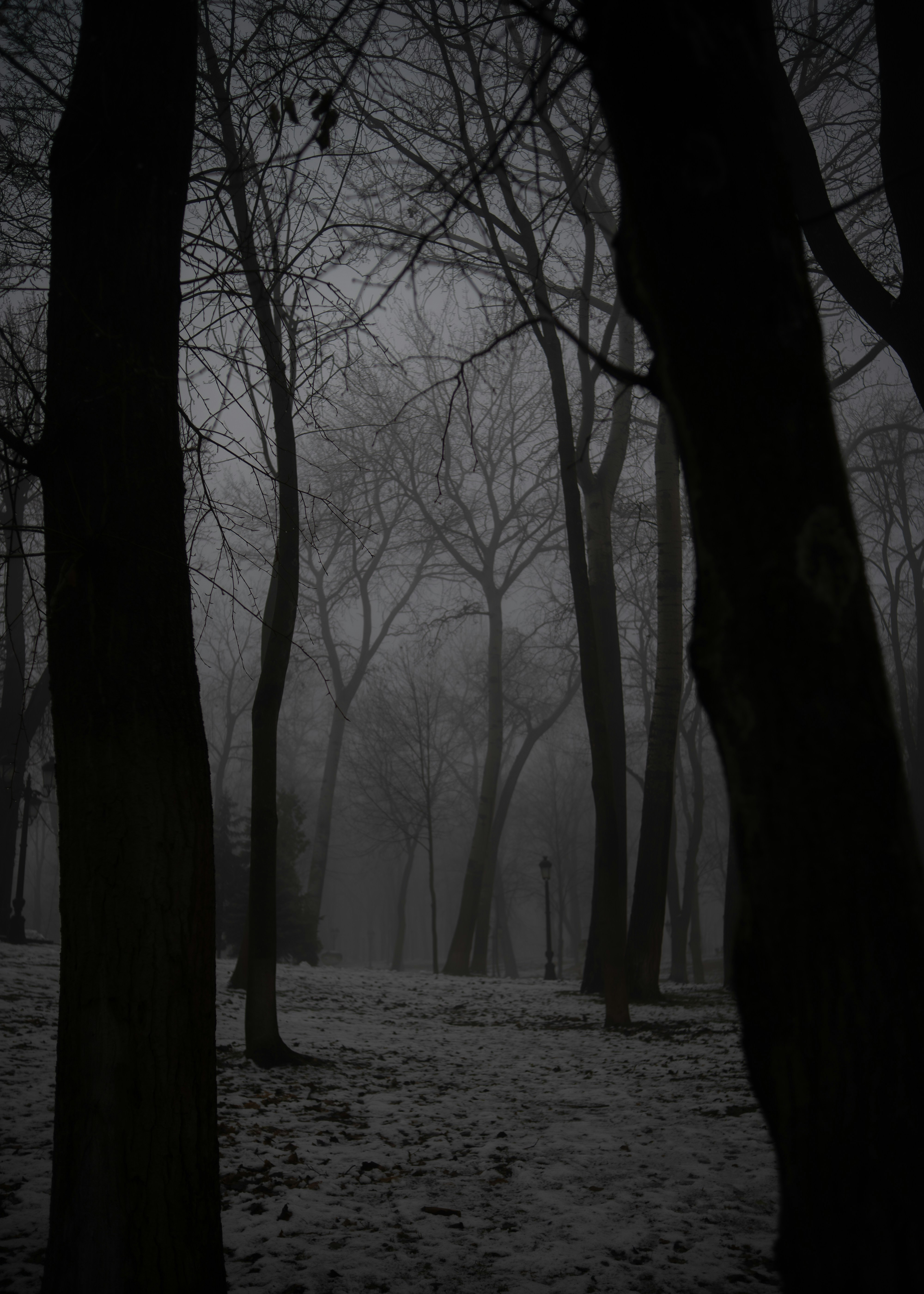 Photo by eugenechystiakov