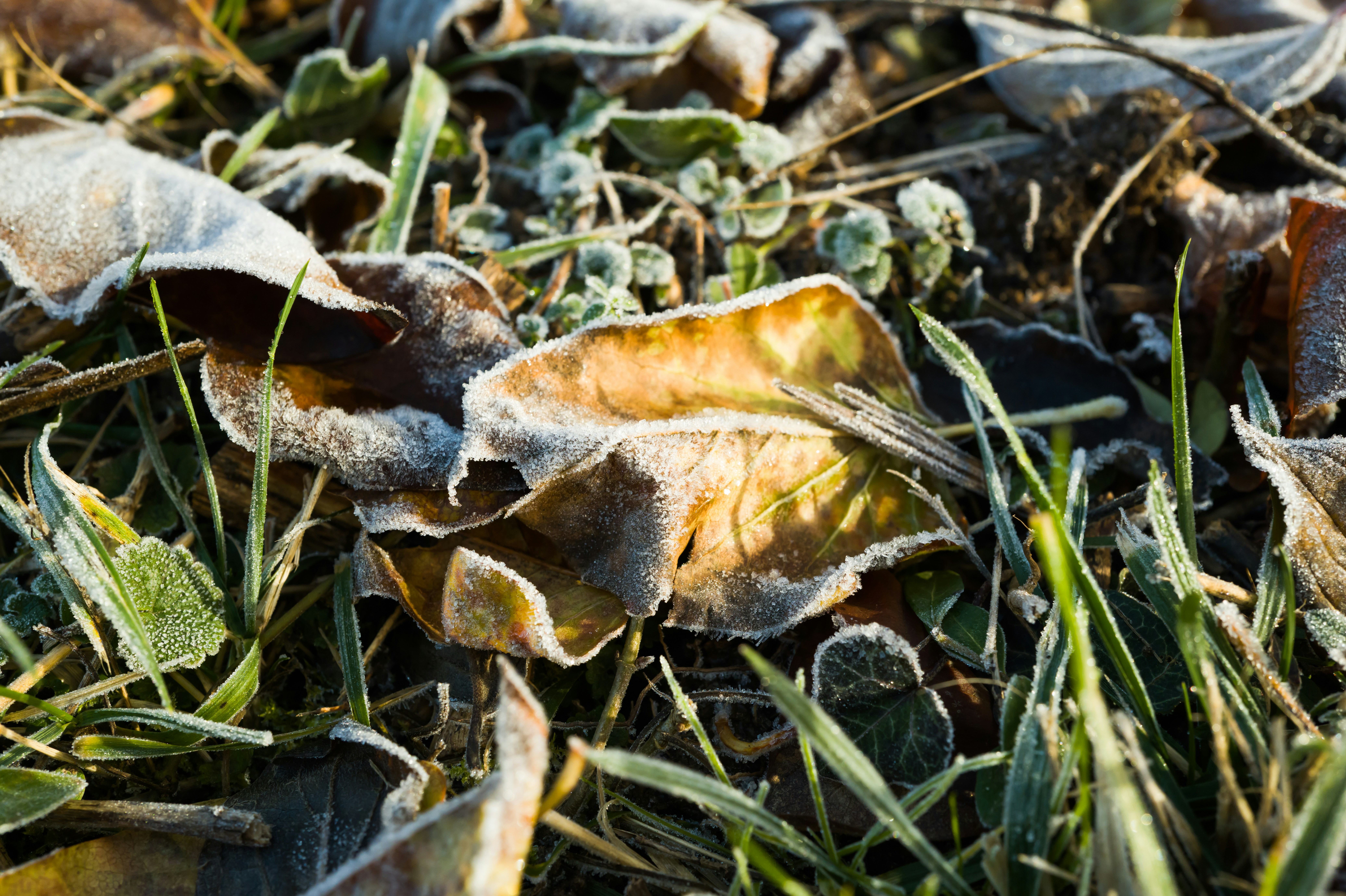 Photo by georgeiermann