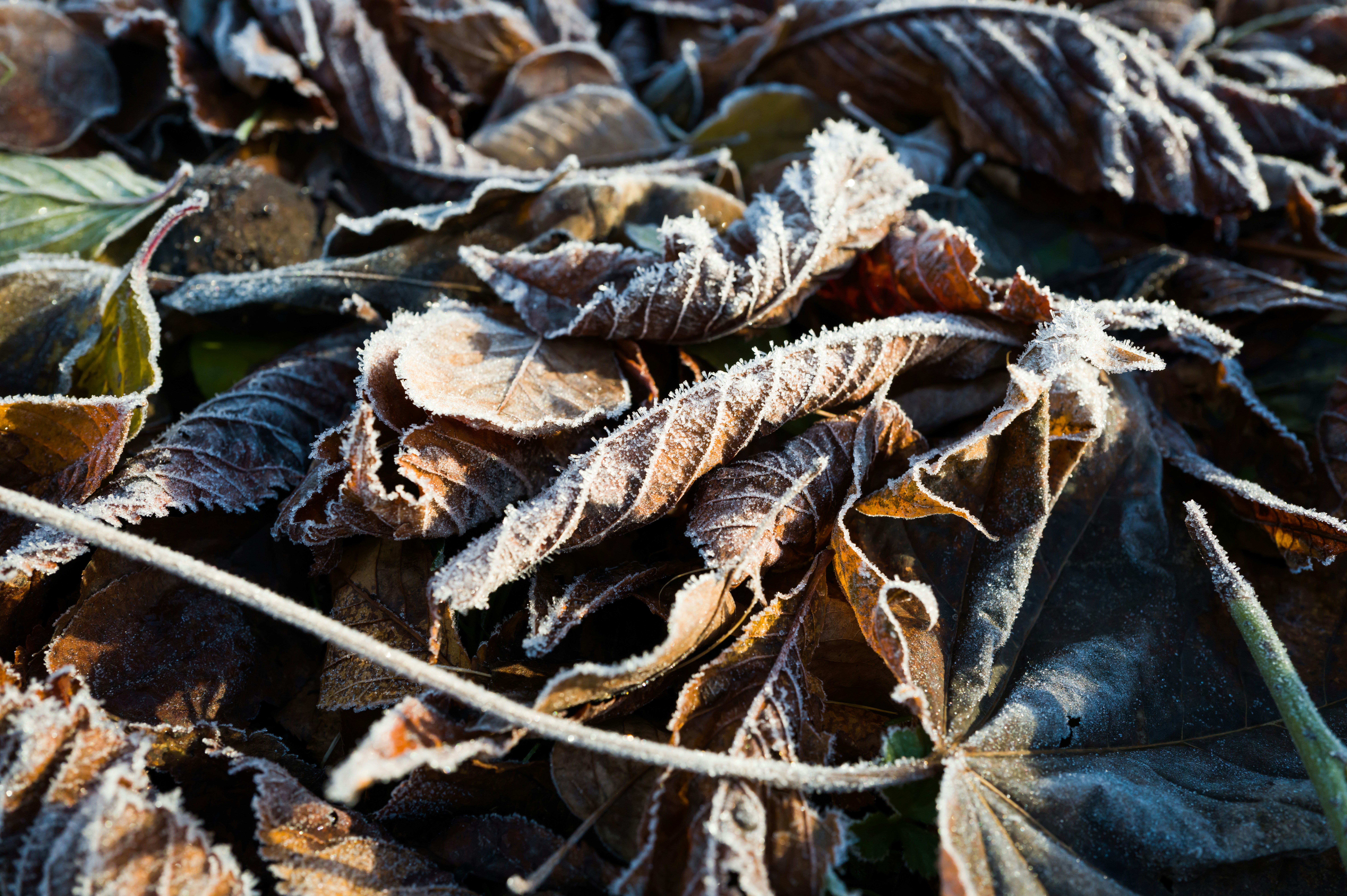 Photo by georgeiermann