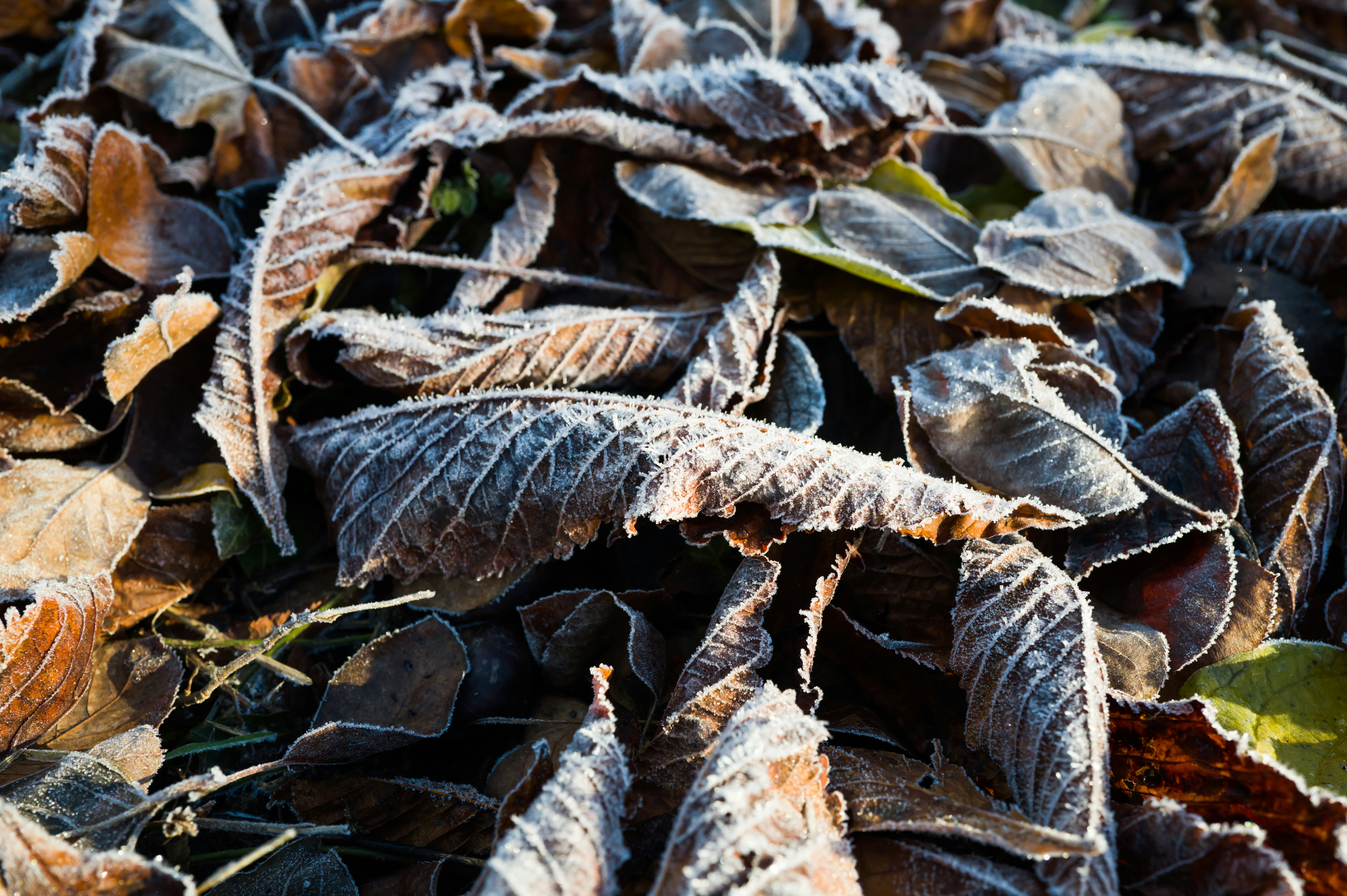 Photo by georgeiermann