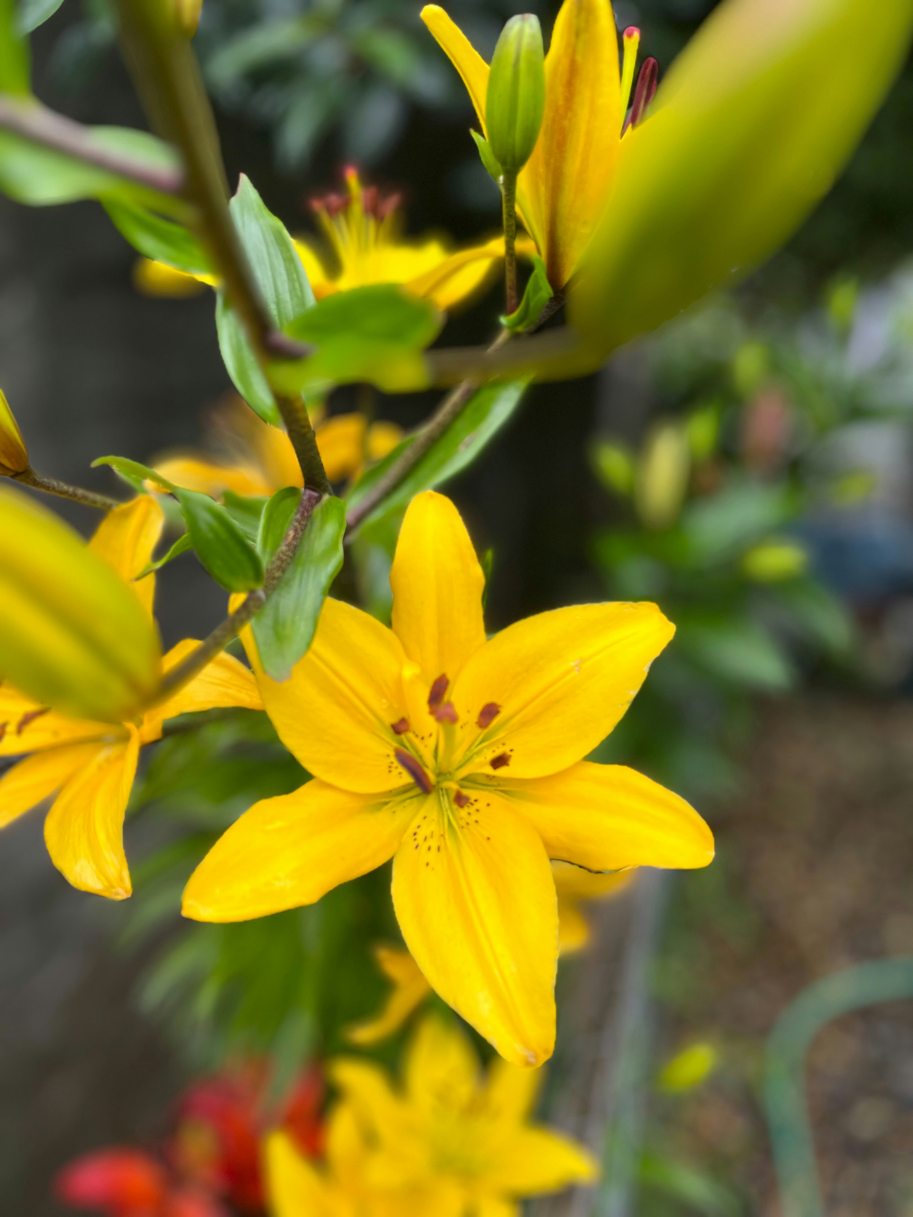 Photo by allysonaguilera7