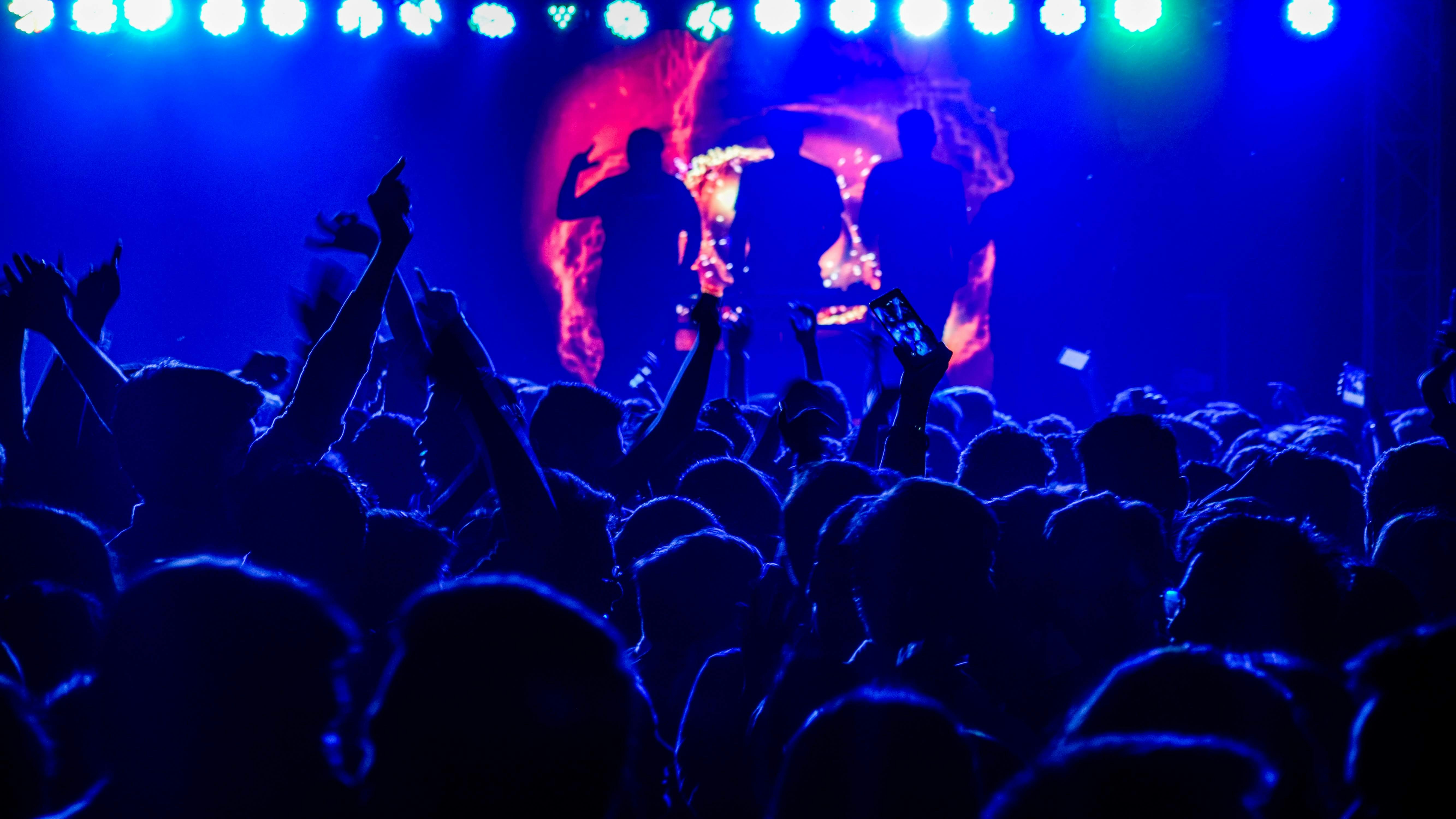 A crowd of people at a concert with their hands in the air