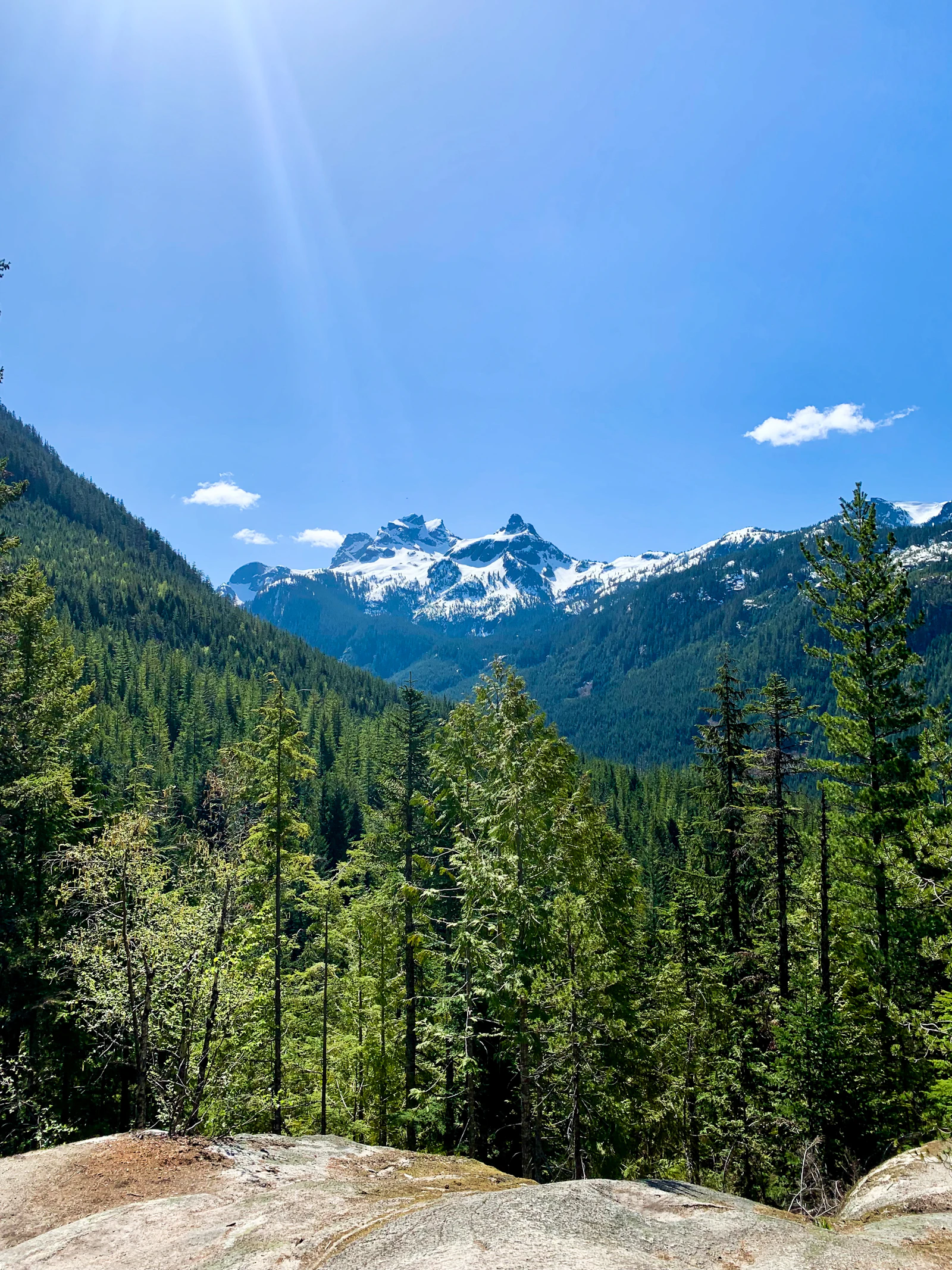 Mountain range and pine forest in interior British Columbia