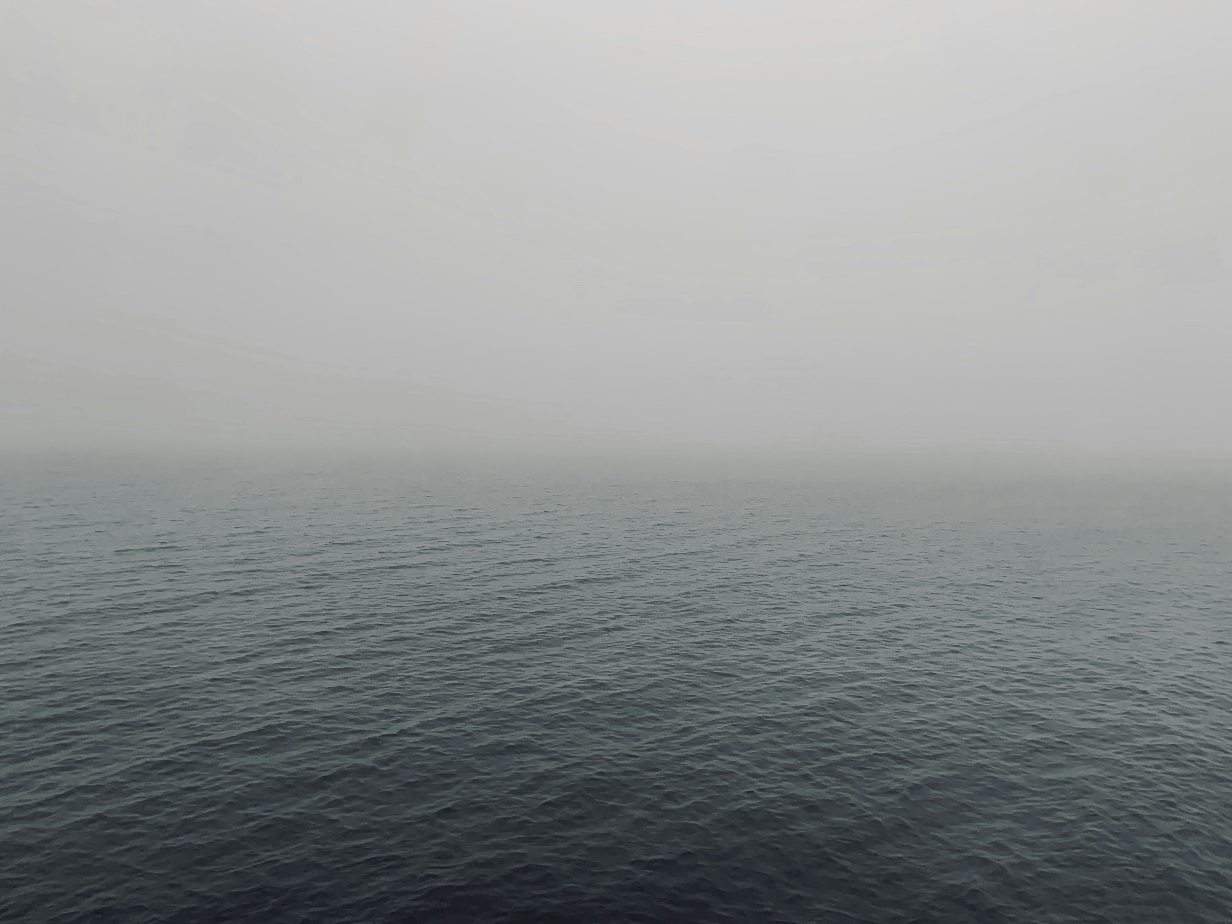 Photo by paulandrusiak