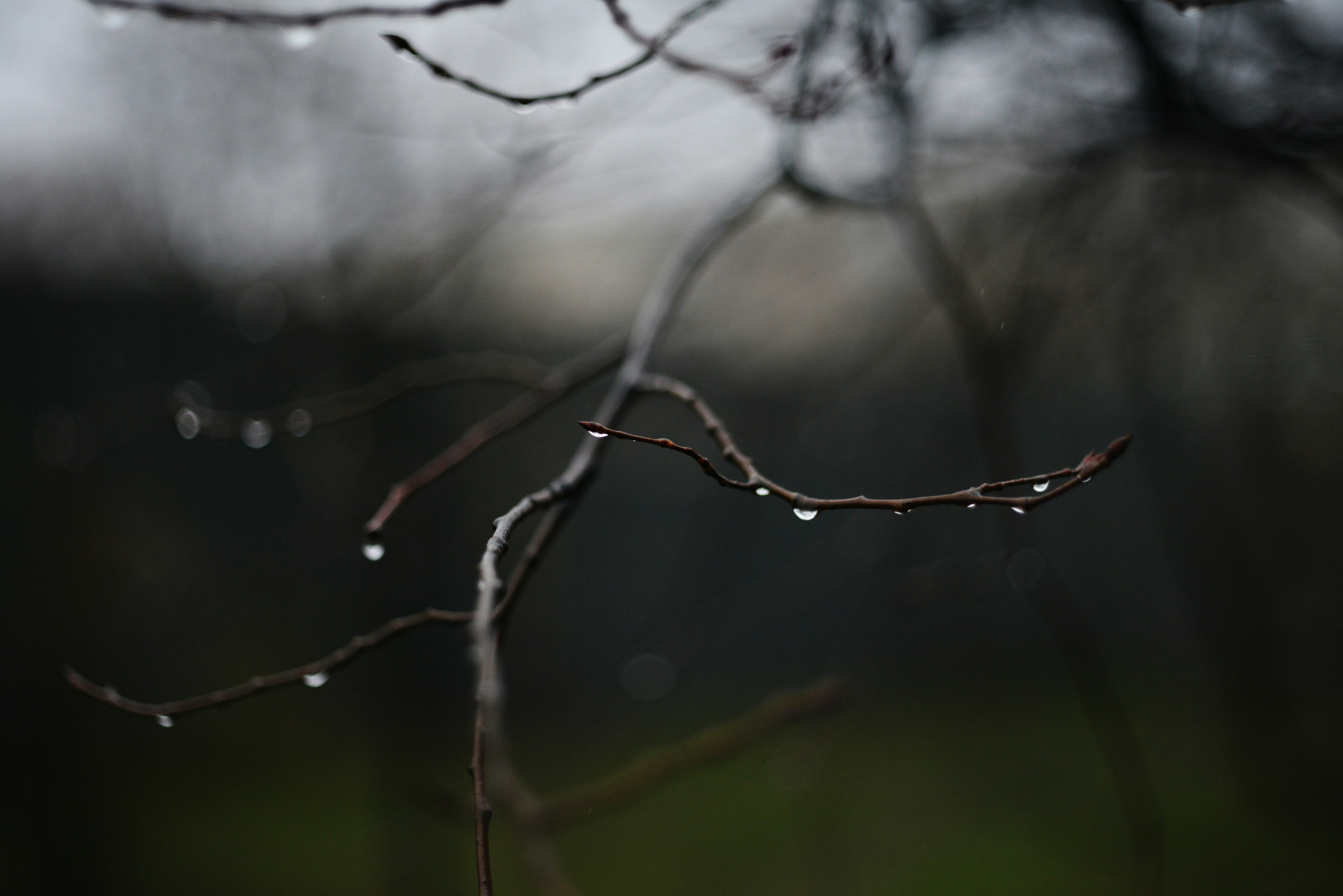 Photo by cherstve_pechivo