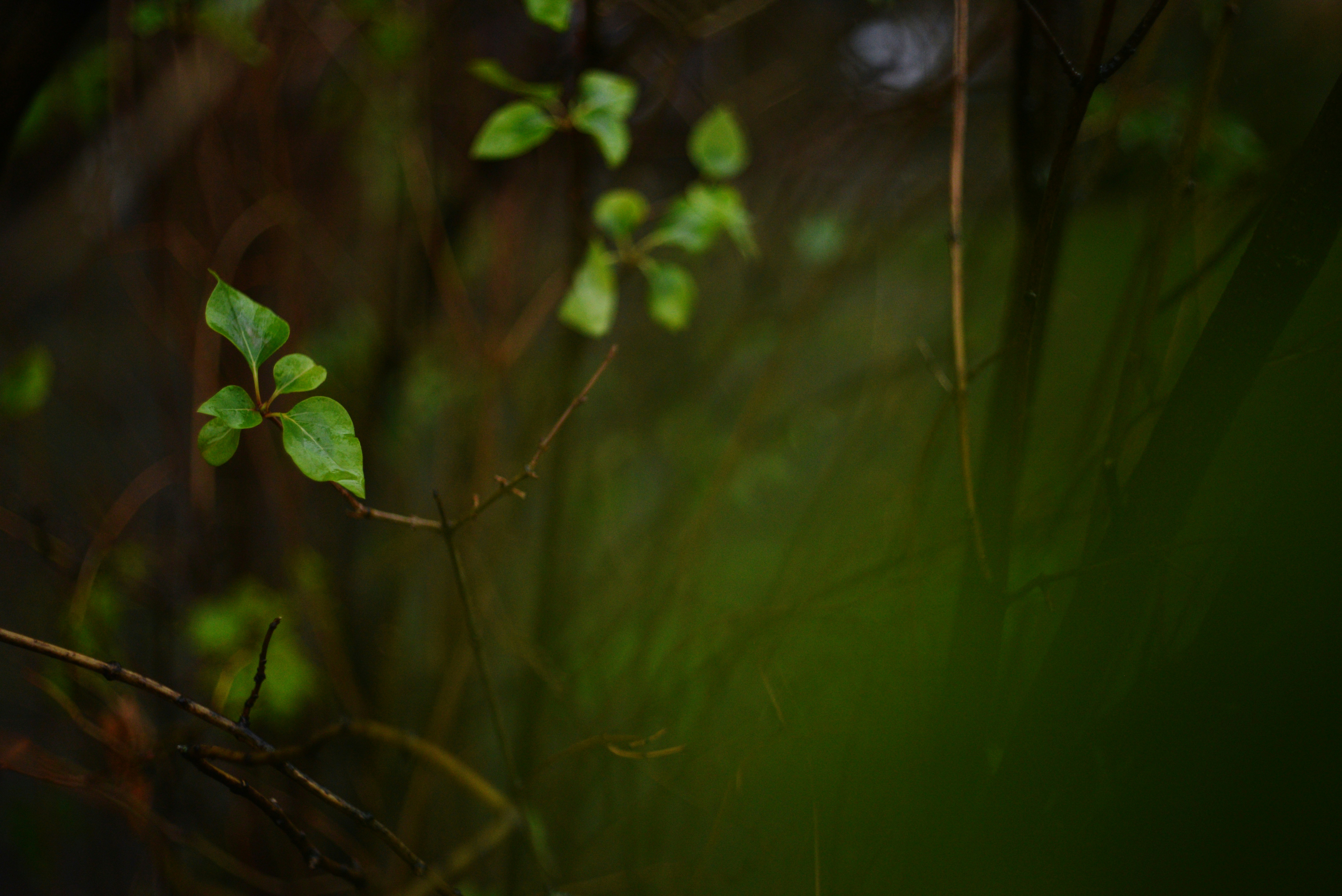 Photo by cherstve_pechivo