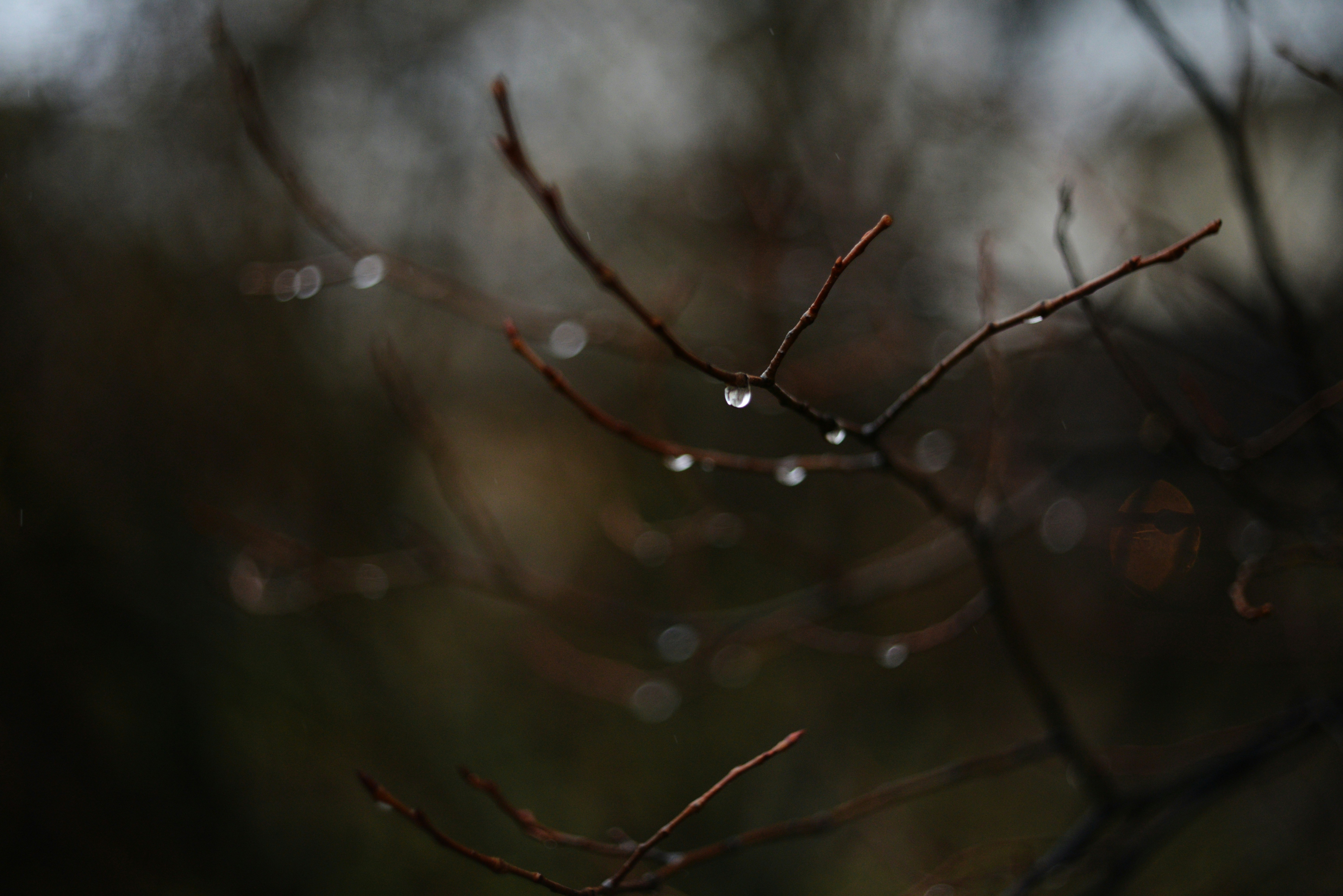 Photo by cherstve_pechivo