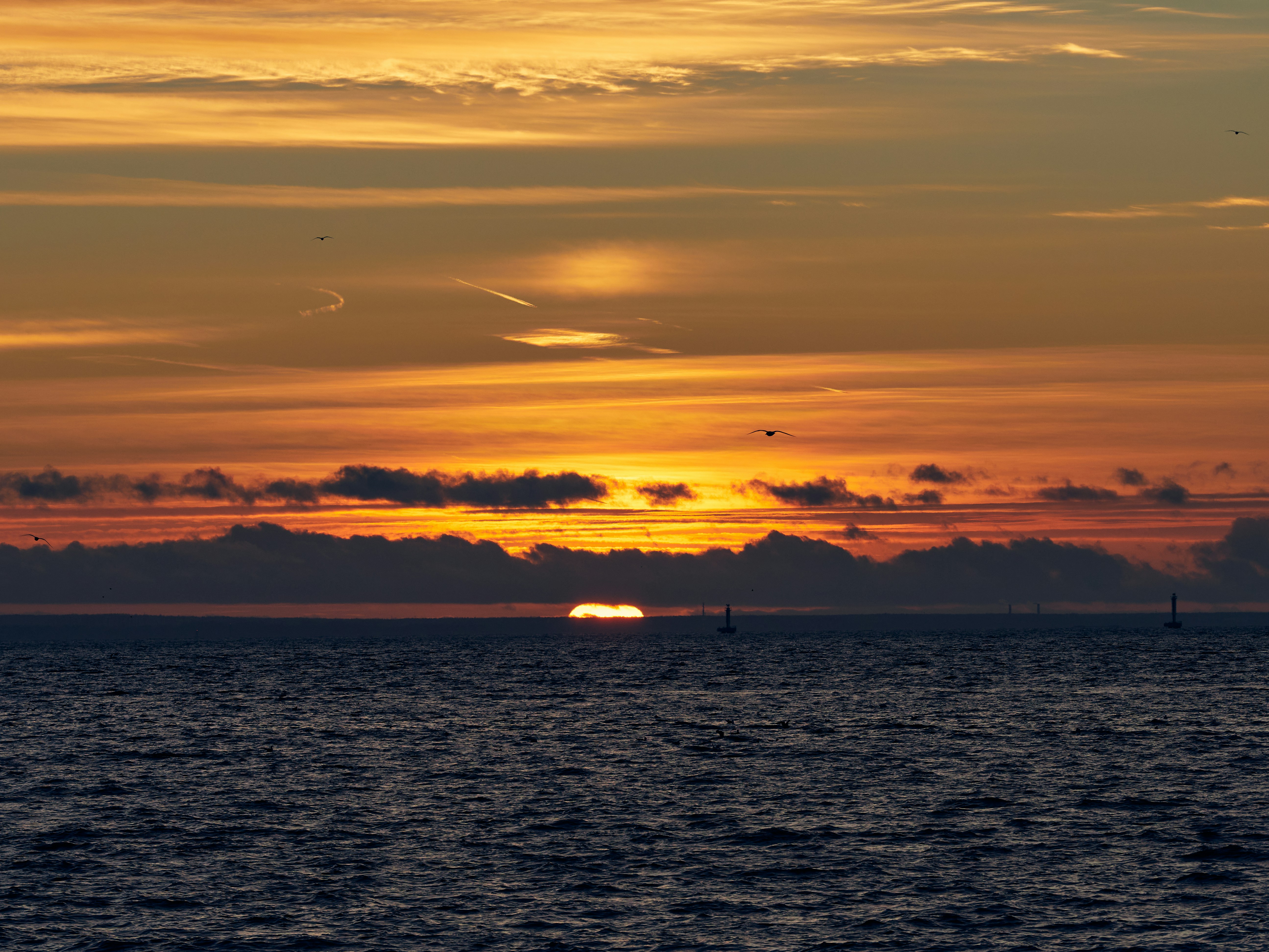 Photo by alekhinsasha