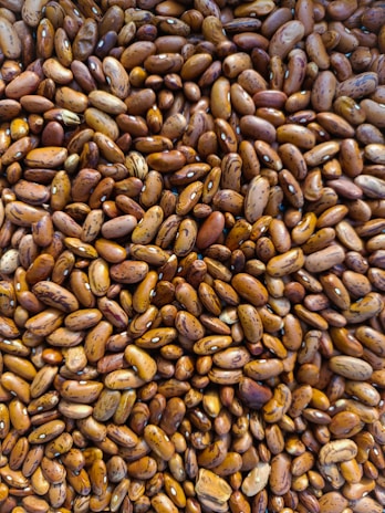 A close up of a bunch of nuts