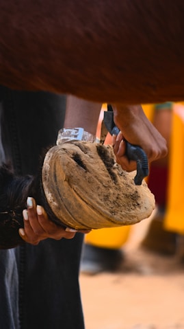 A close up of a person holding a baseball glove