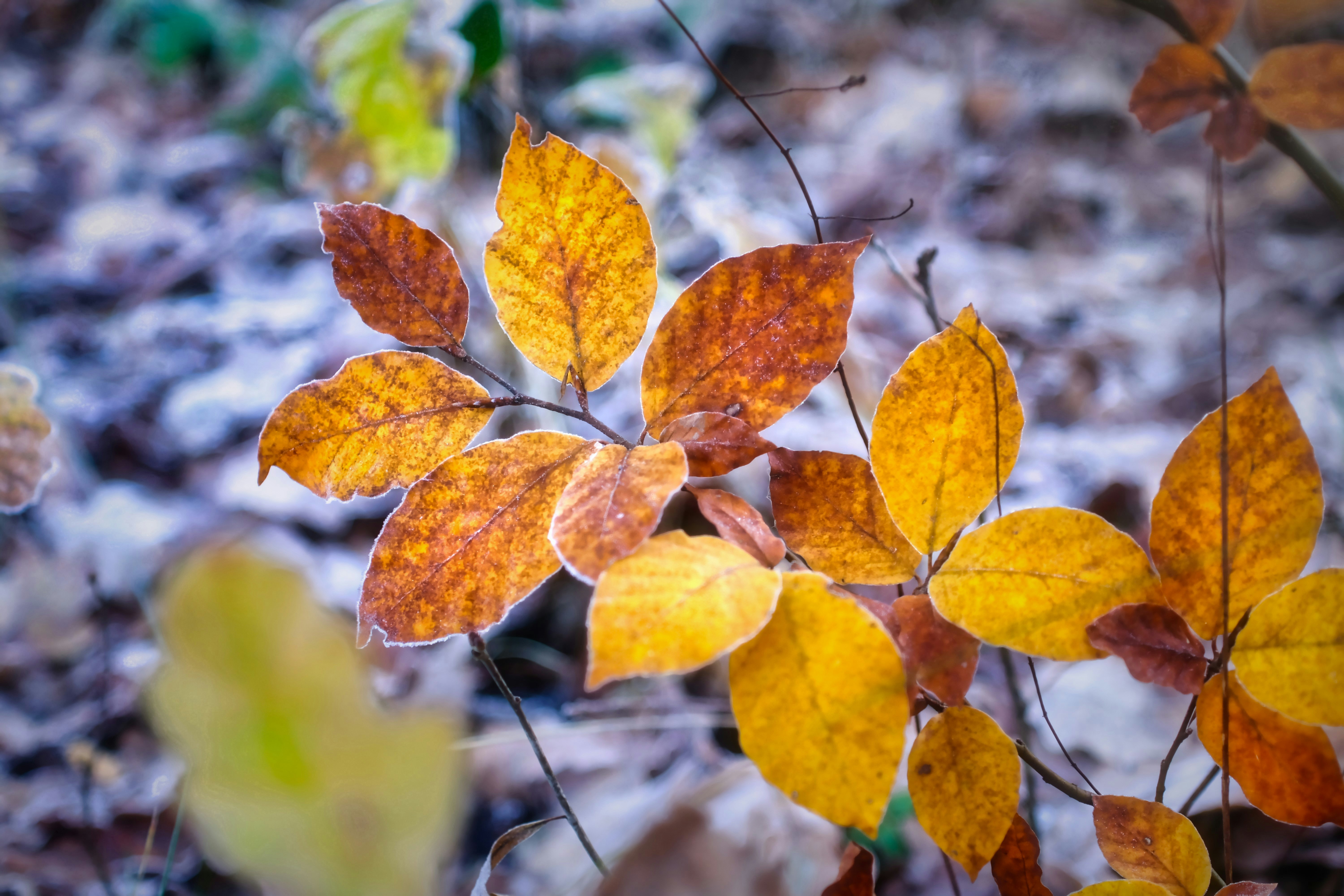 Photo by magictravel