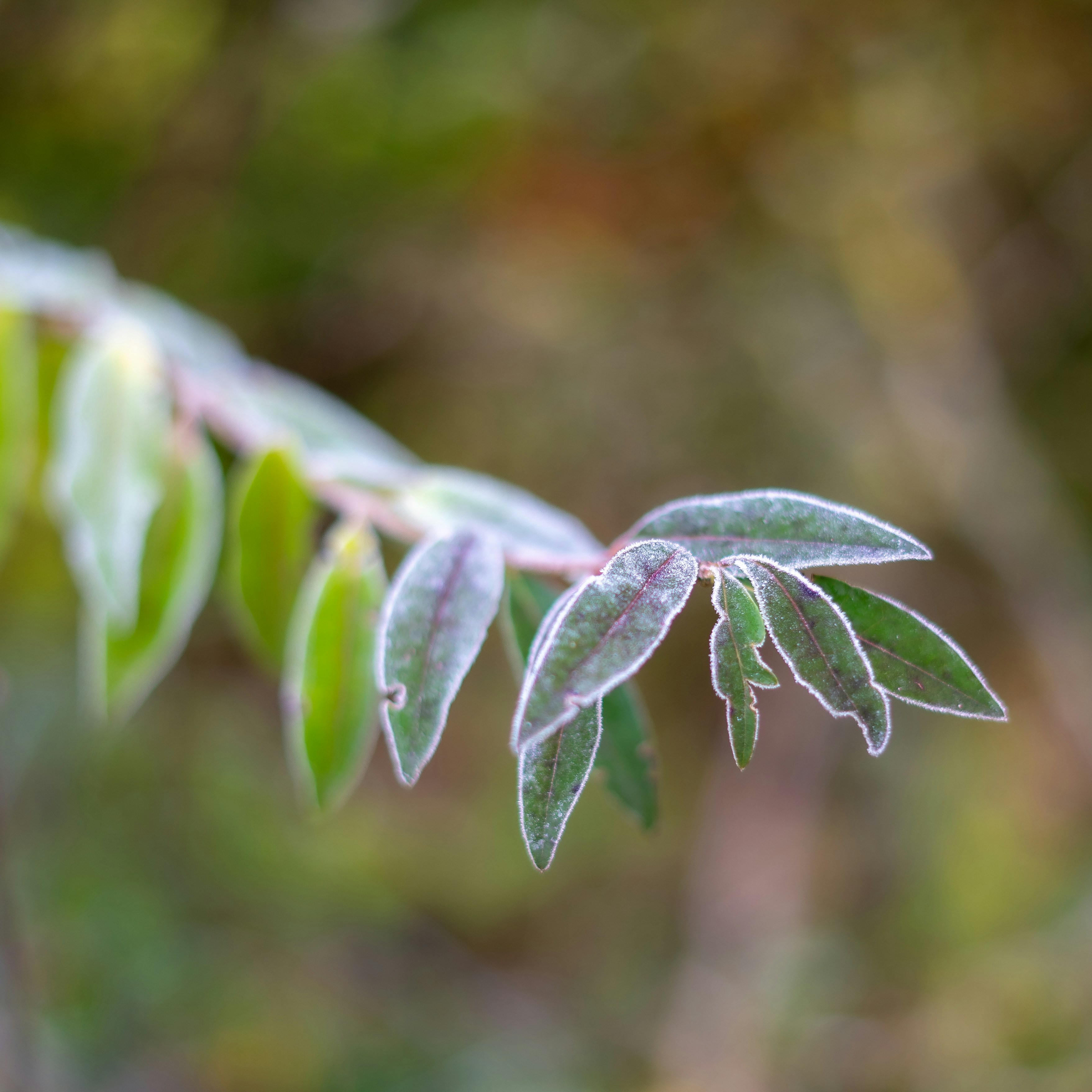 Photo by magictravel