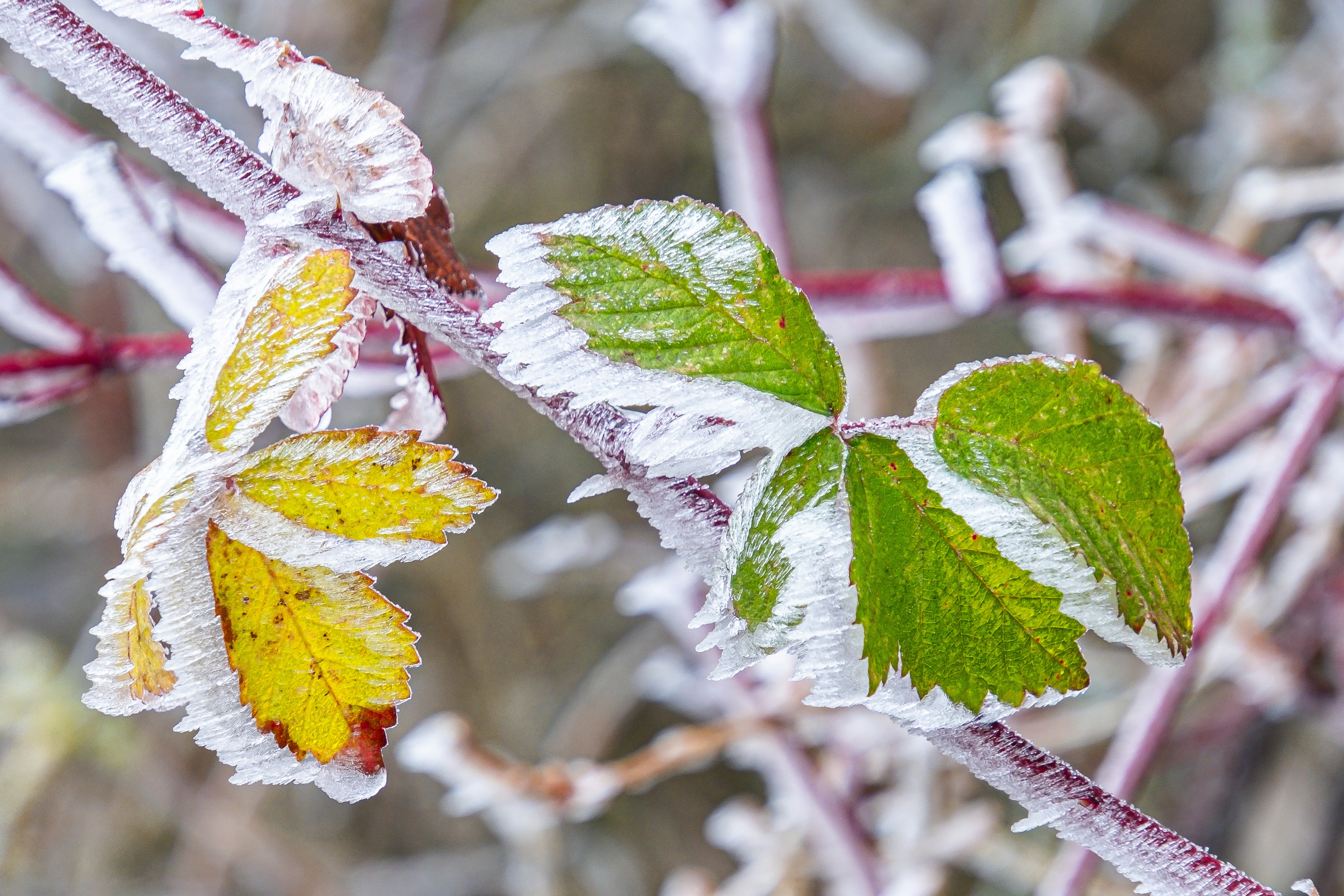 Photo by magictravel