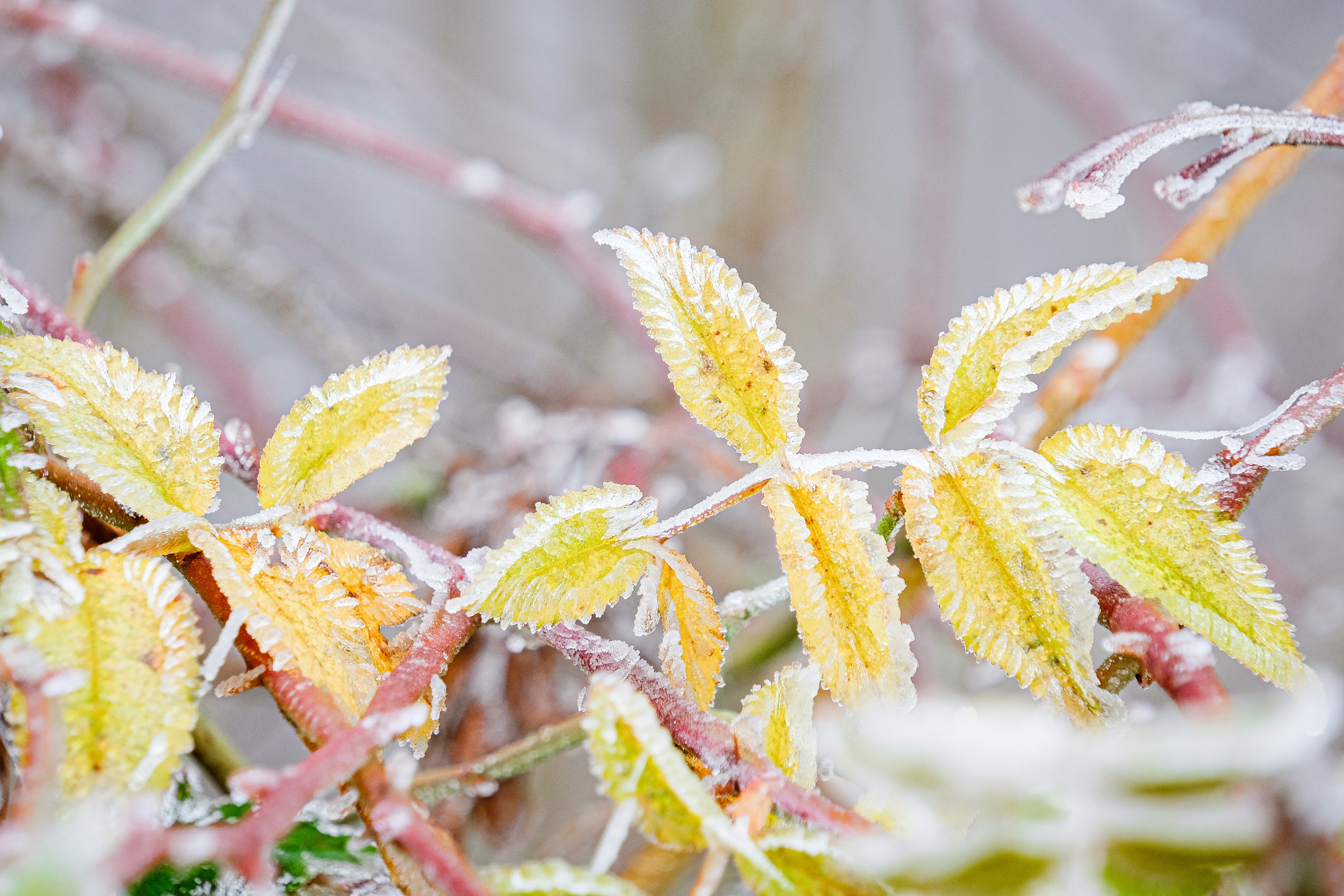 Photo by magictravel