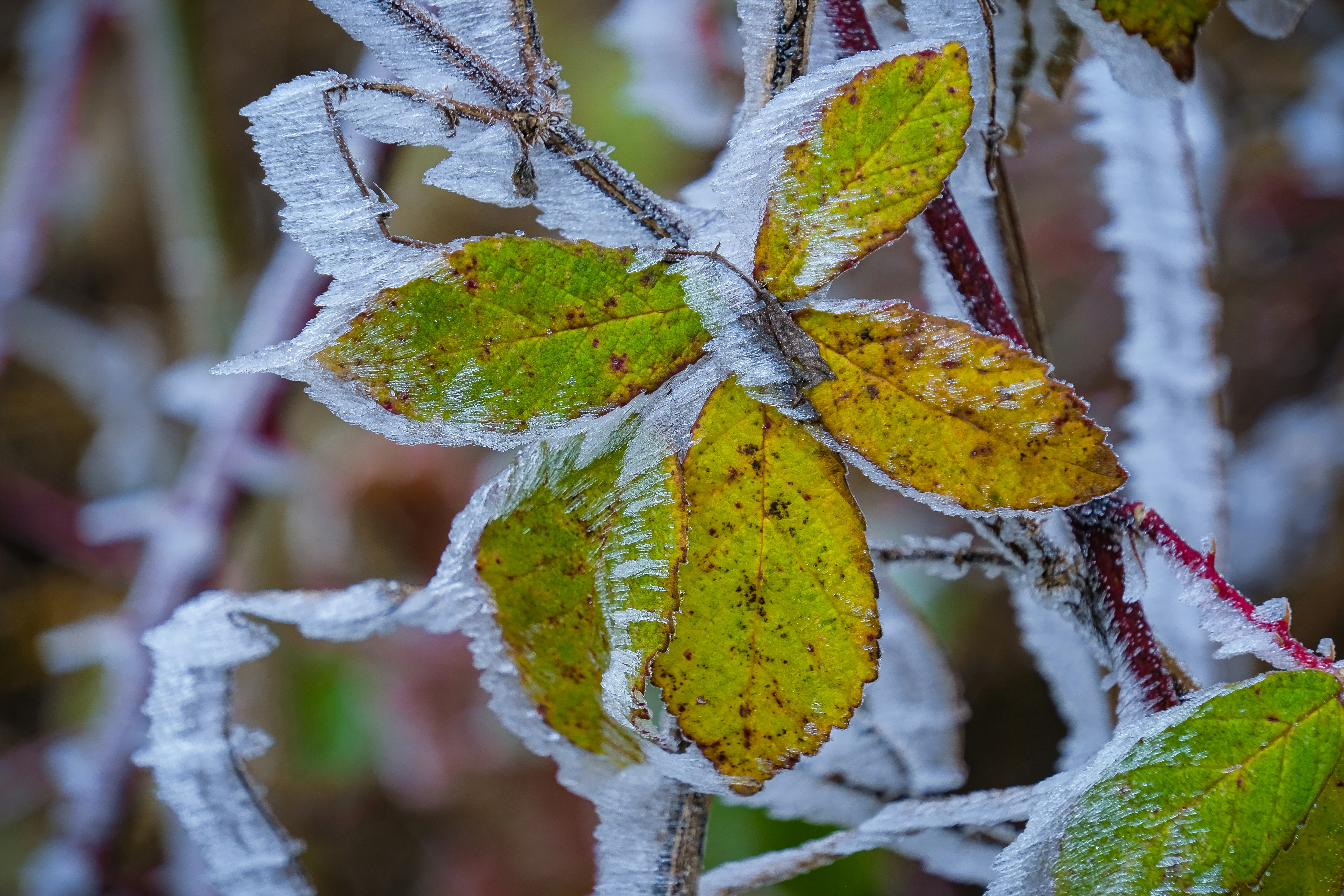 Photo by magictravel