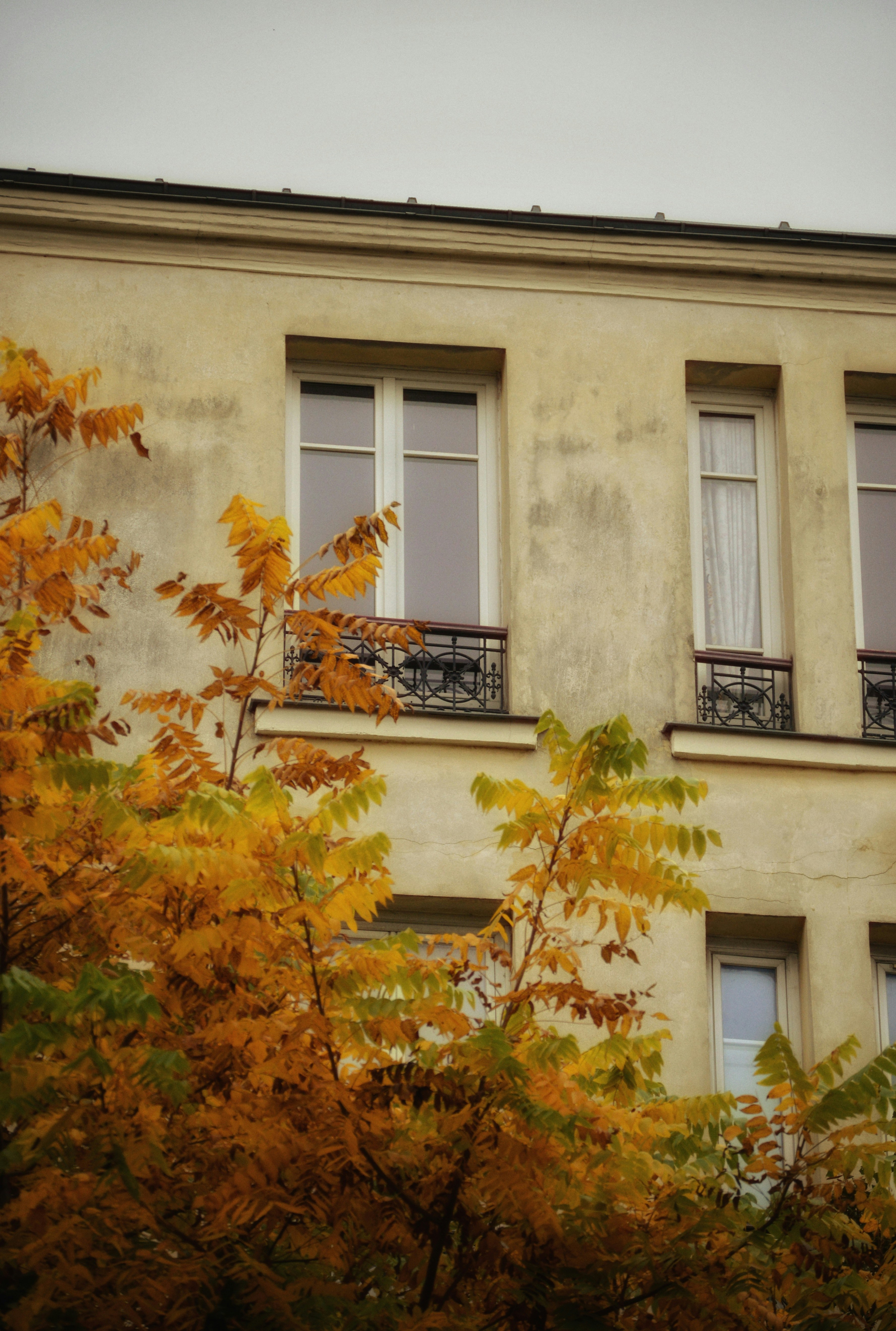 Photo by eve_photo22