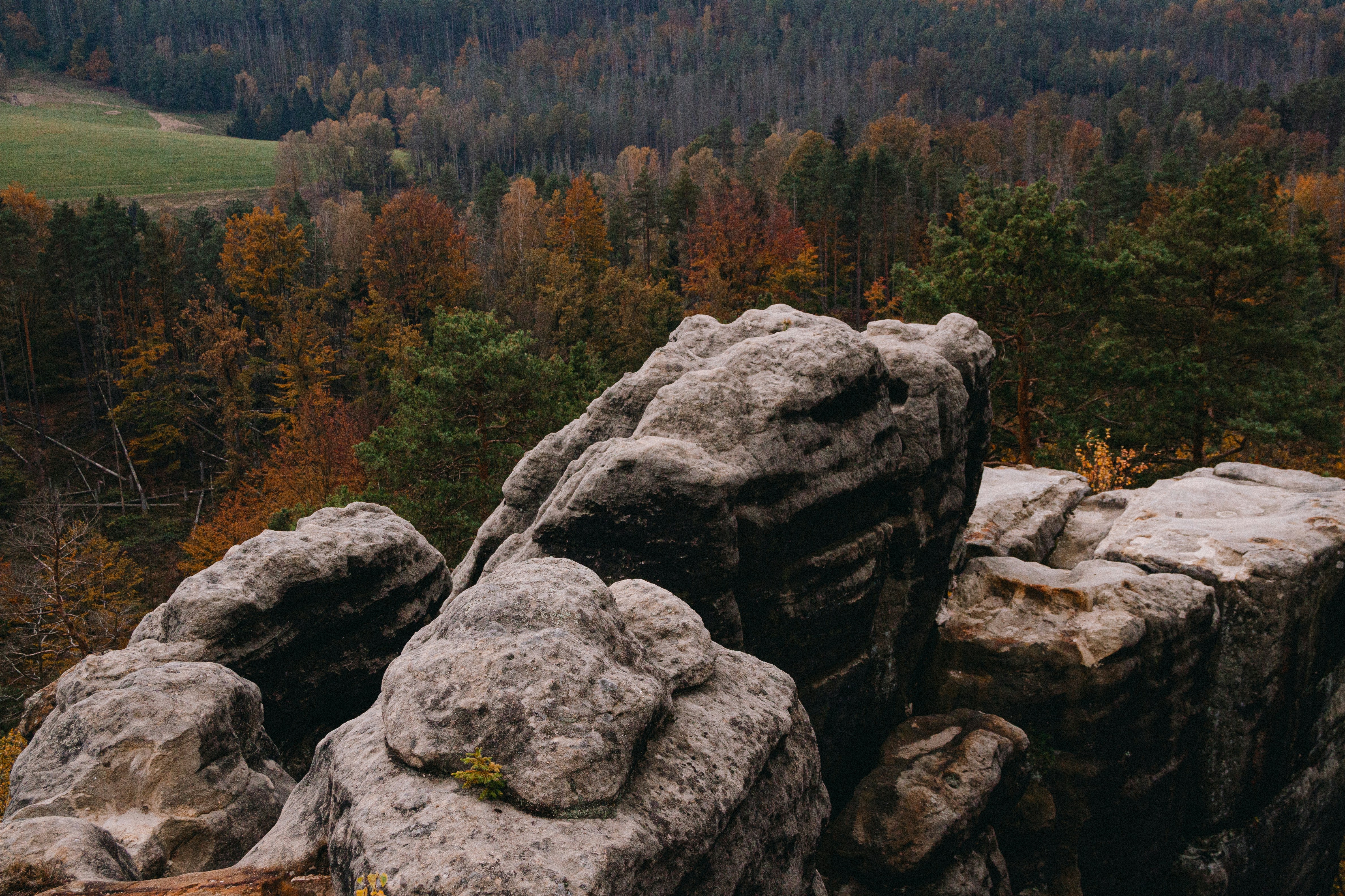 A rocky outcropping with trees in the background