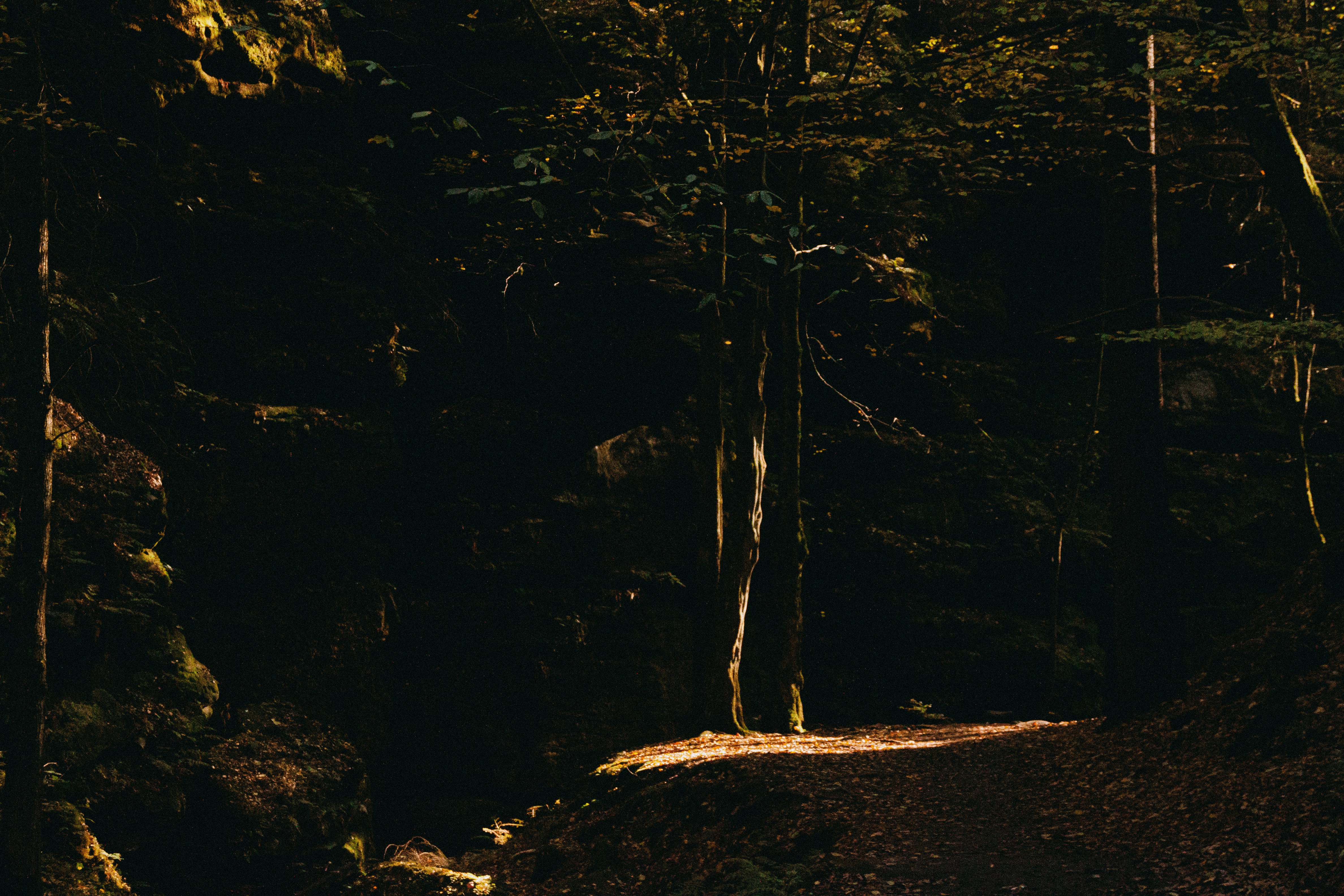 A man riding a skateboard down a dirt road