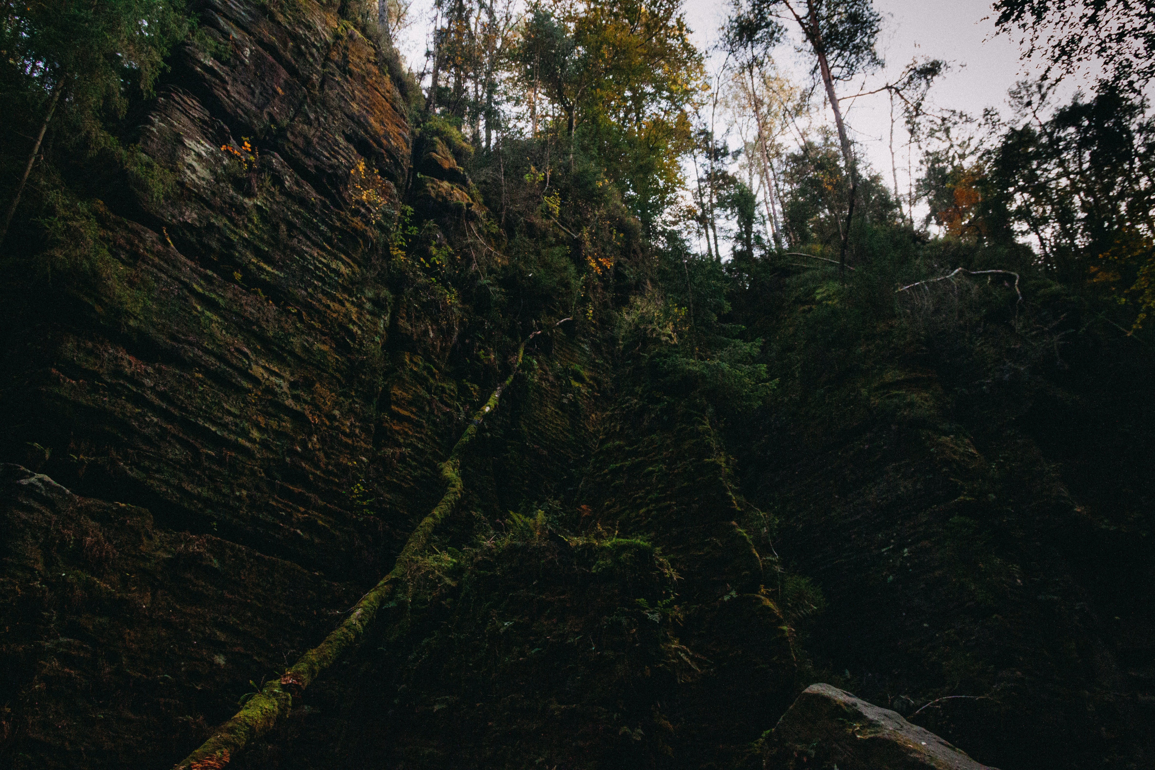 Photo by benkupke