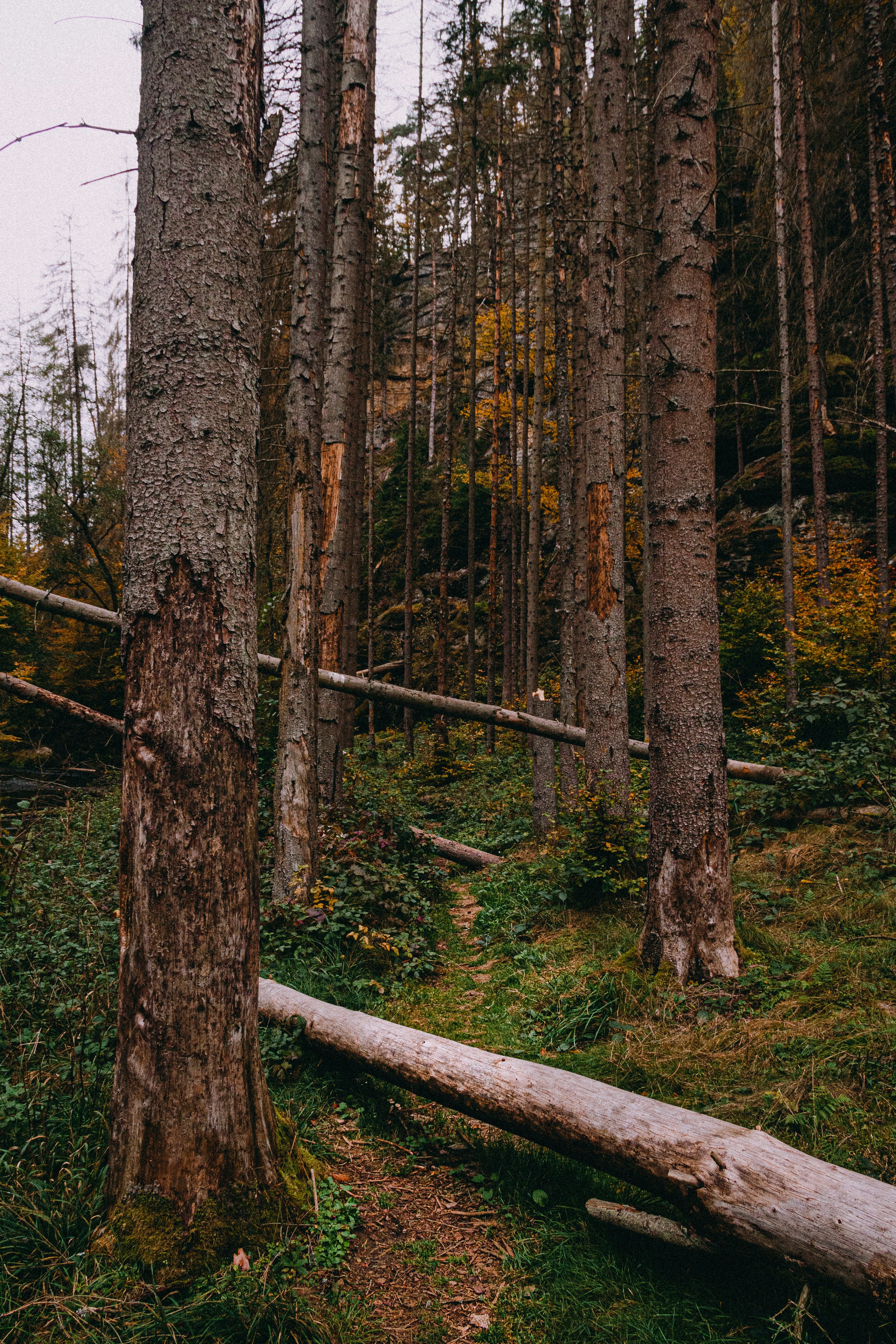 Photo by benkupke