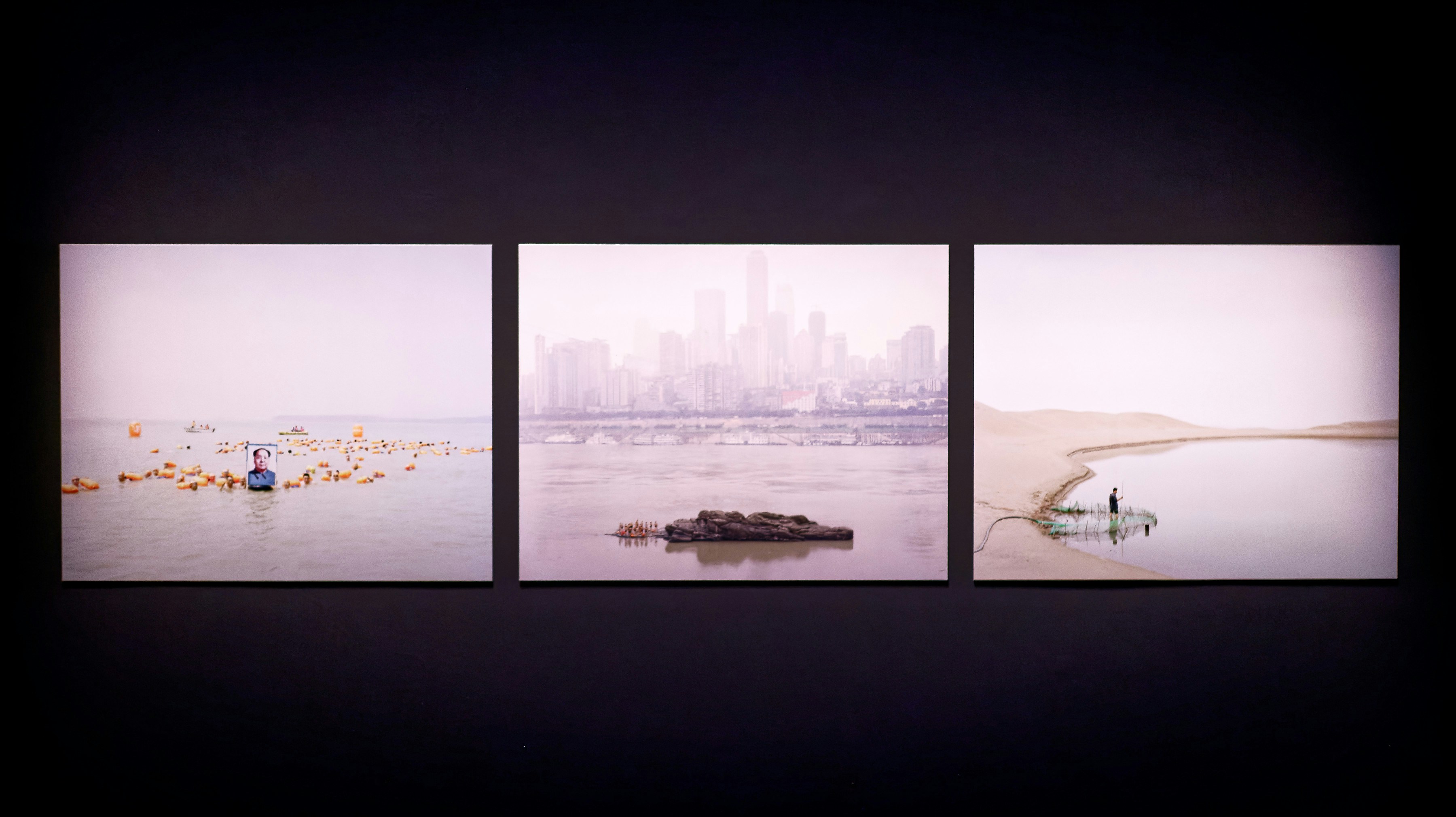 A group of four pictures hanging on a wall