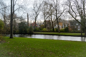 A river running through a lush green park