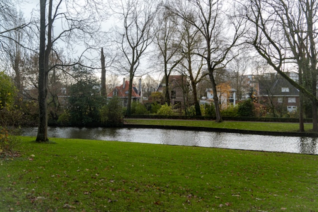 A river running through a lush green park