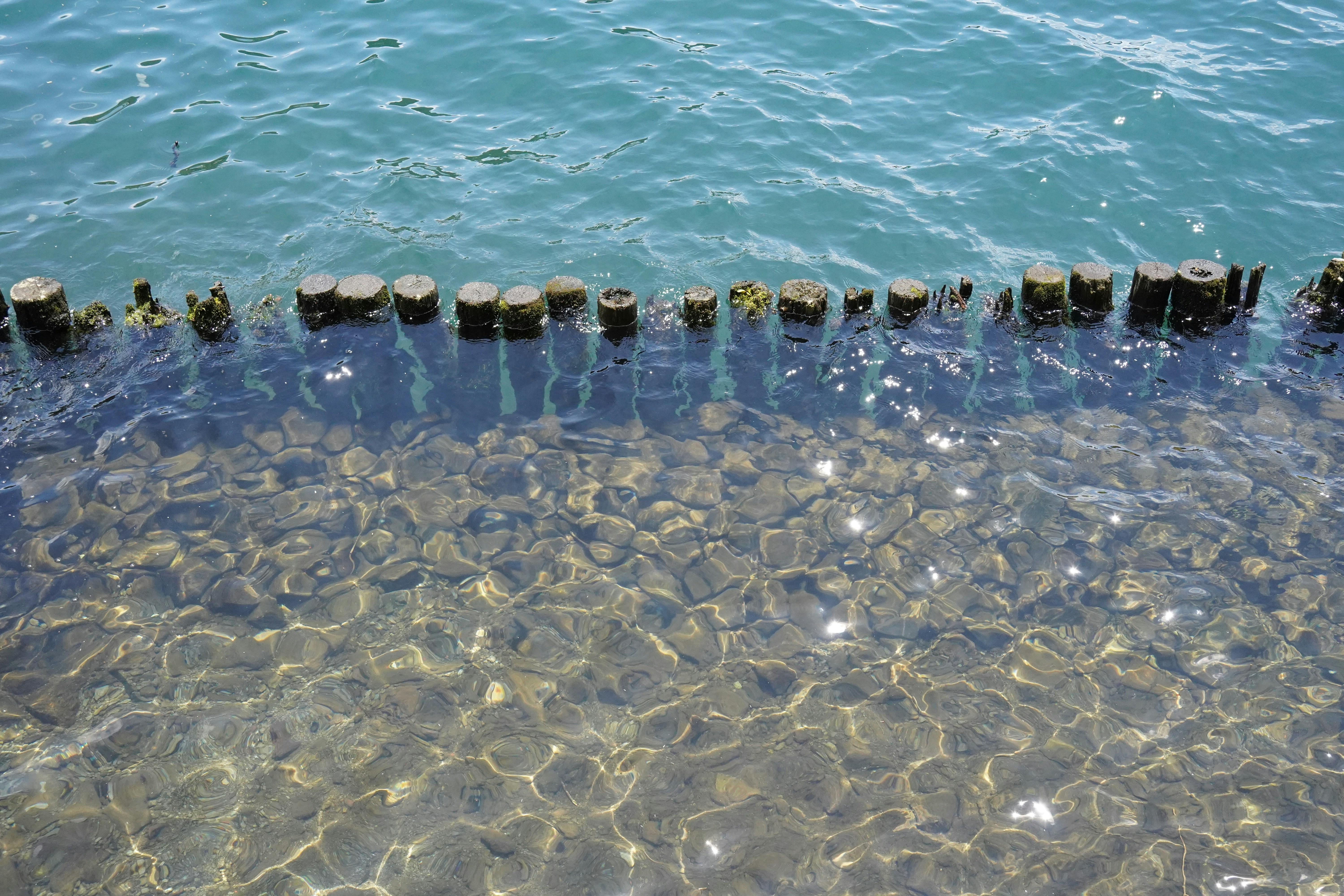 Leadership Without Shadows: Inspire Through Transparency and Trust