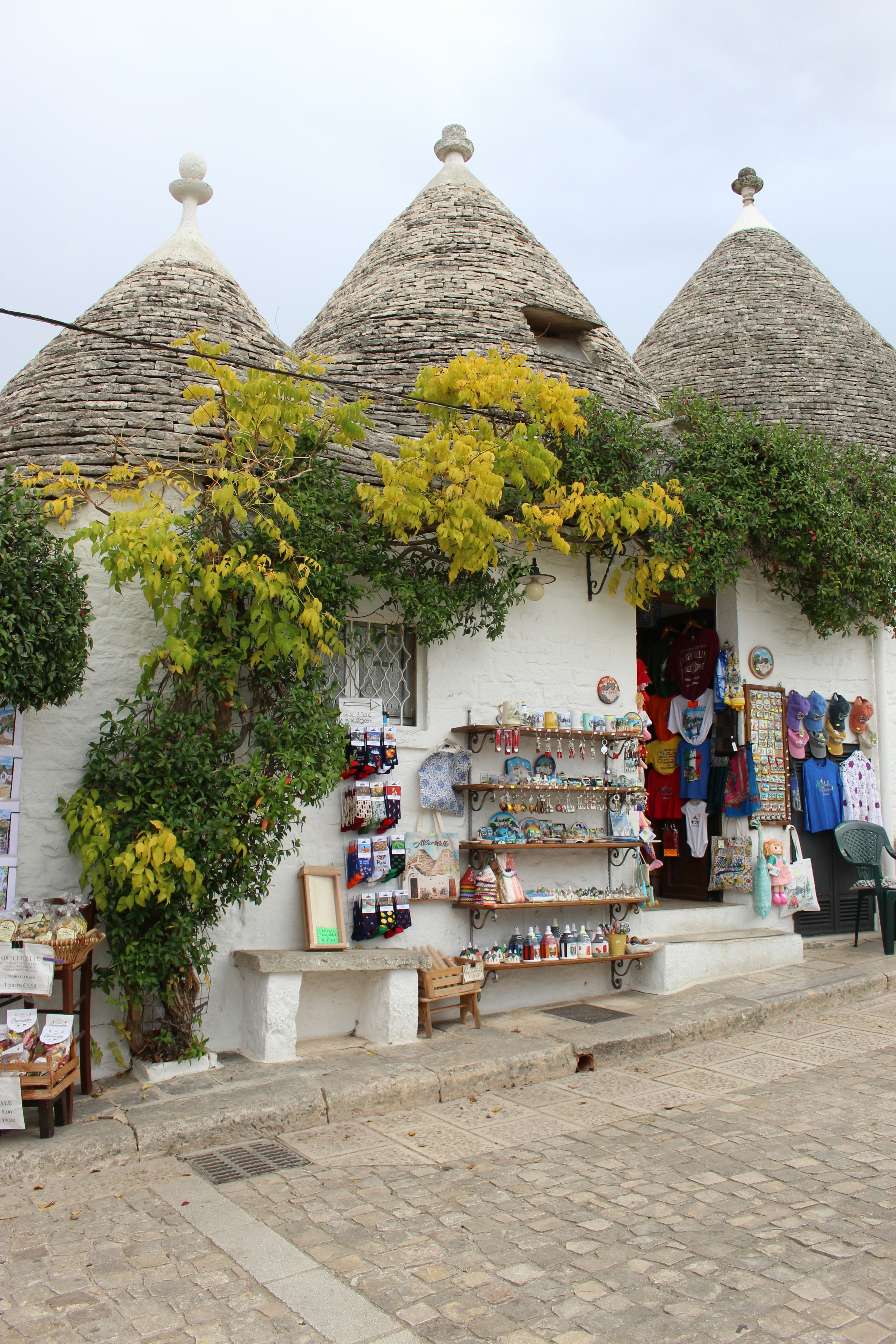 たくさんの植物が生えている建物