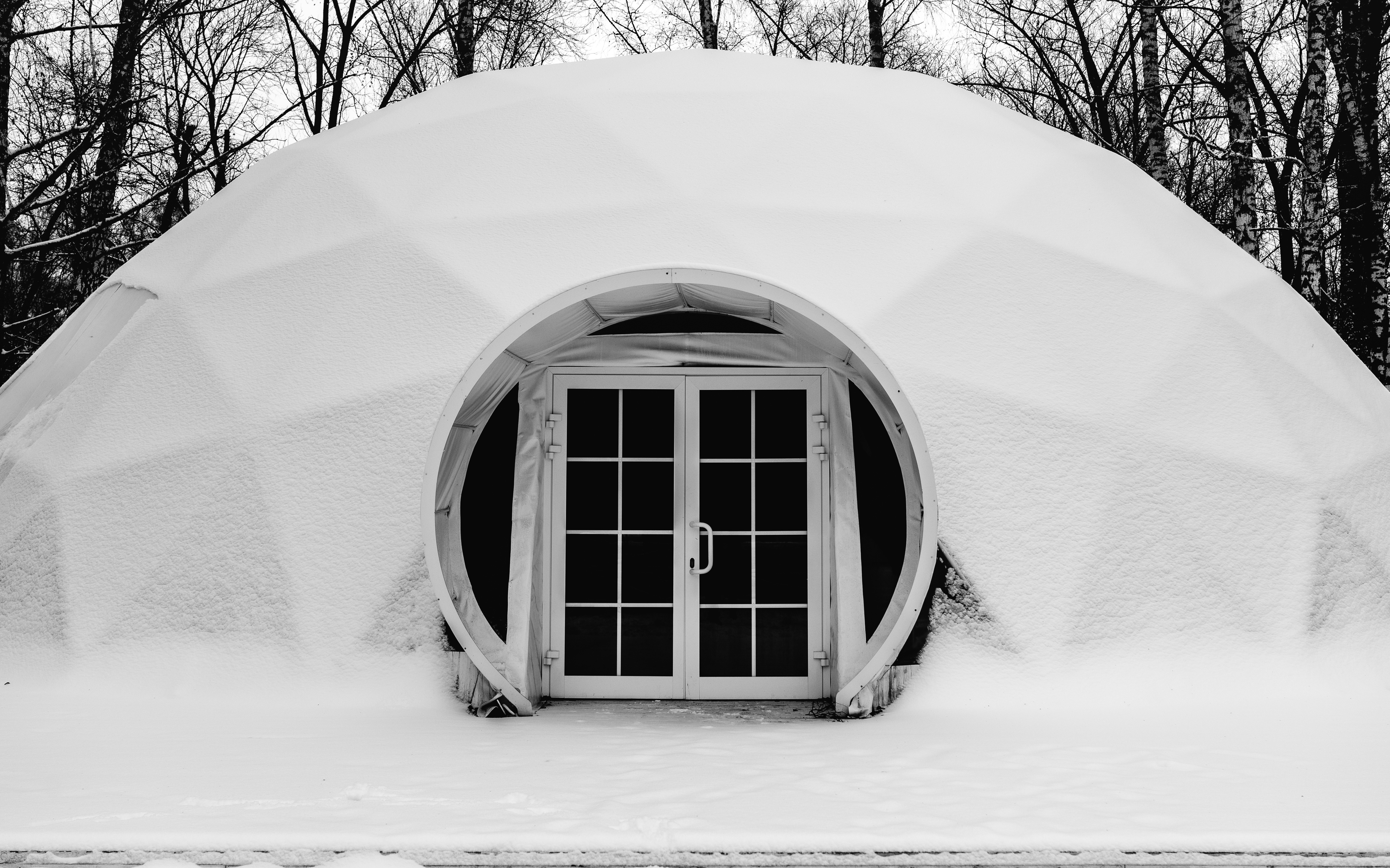 겨울철 패딩 단열 기술 비교 - An igloose in the middle of a snowy forest