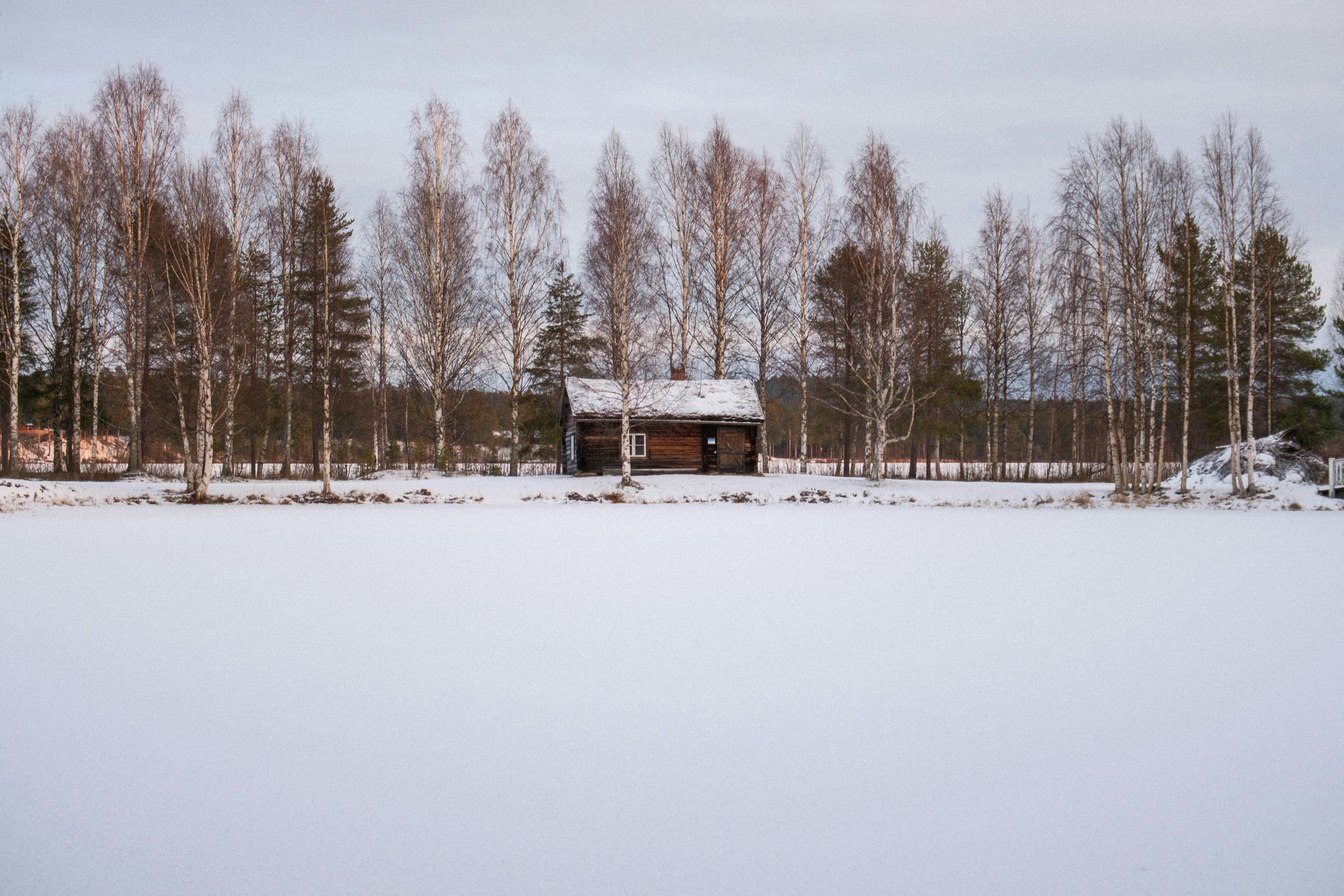 A snow covered field with a cabin in the background