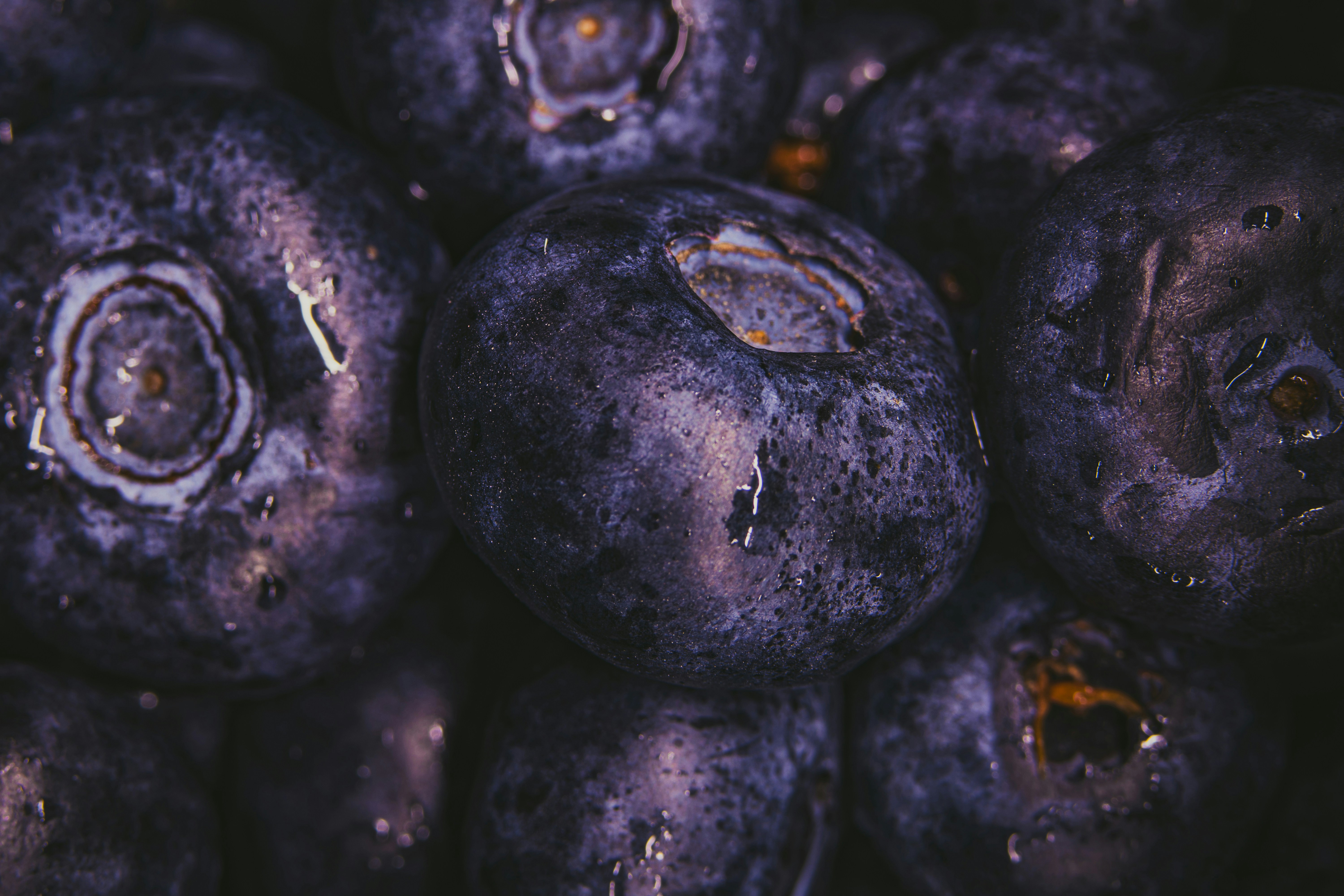 Photo by lukasparnican