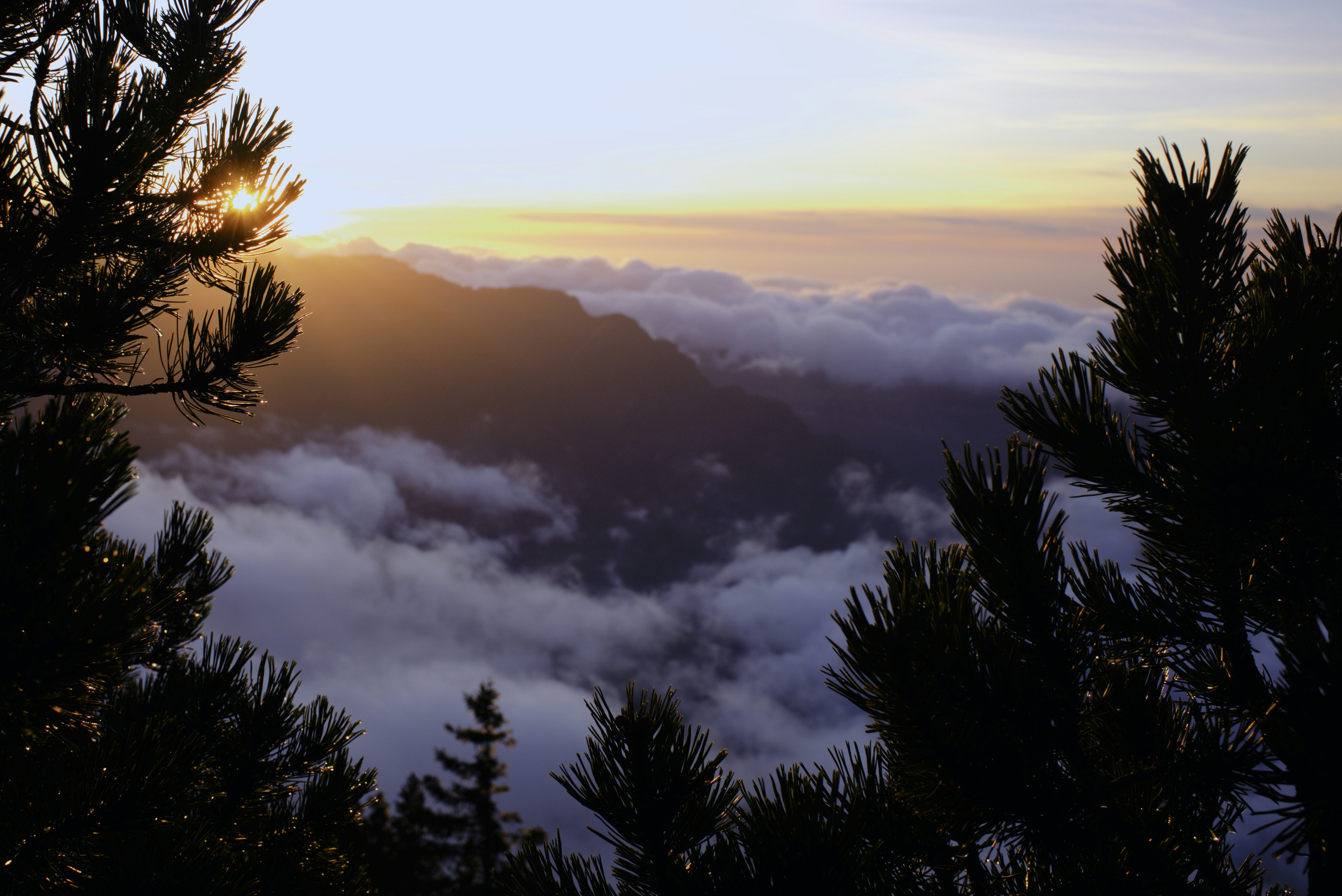 Photo by thomastygreat