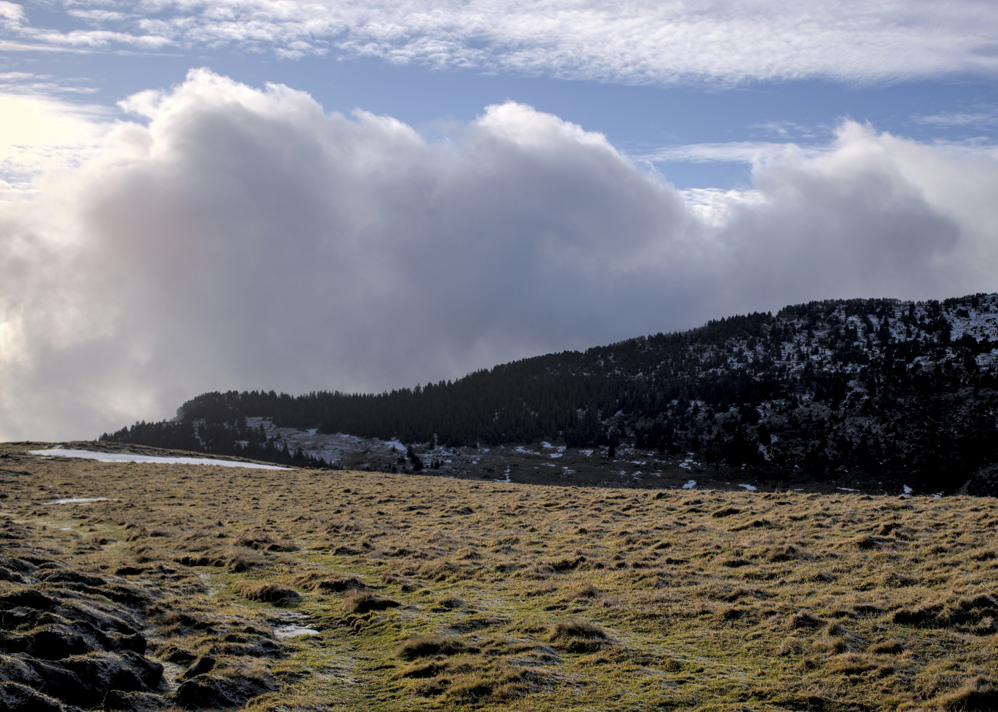 Photo by thomastygreat