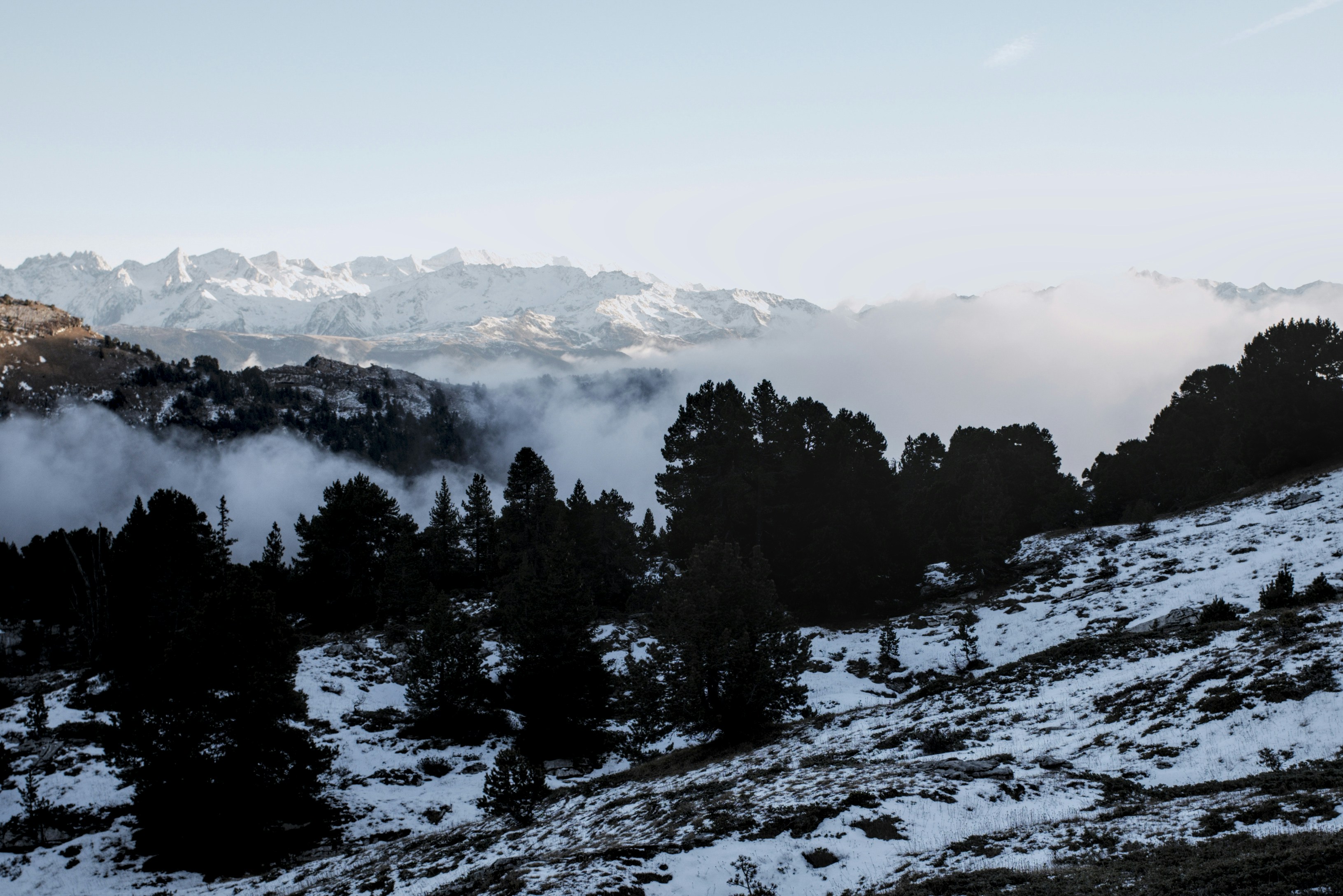 Photo by thomastygreat