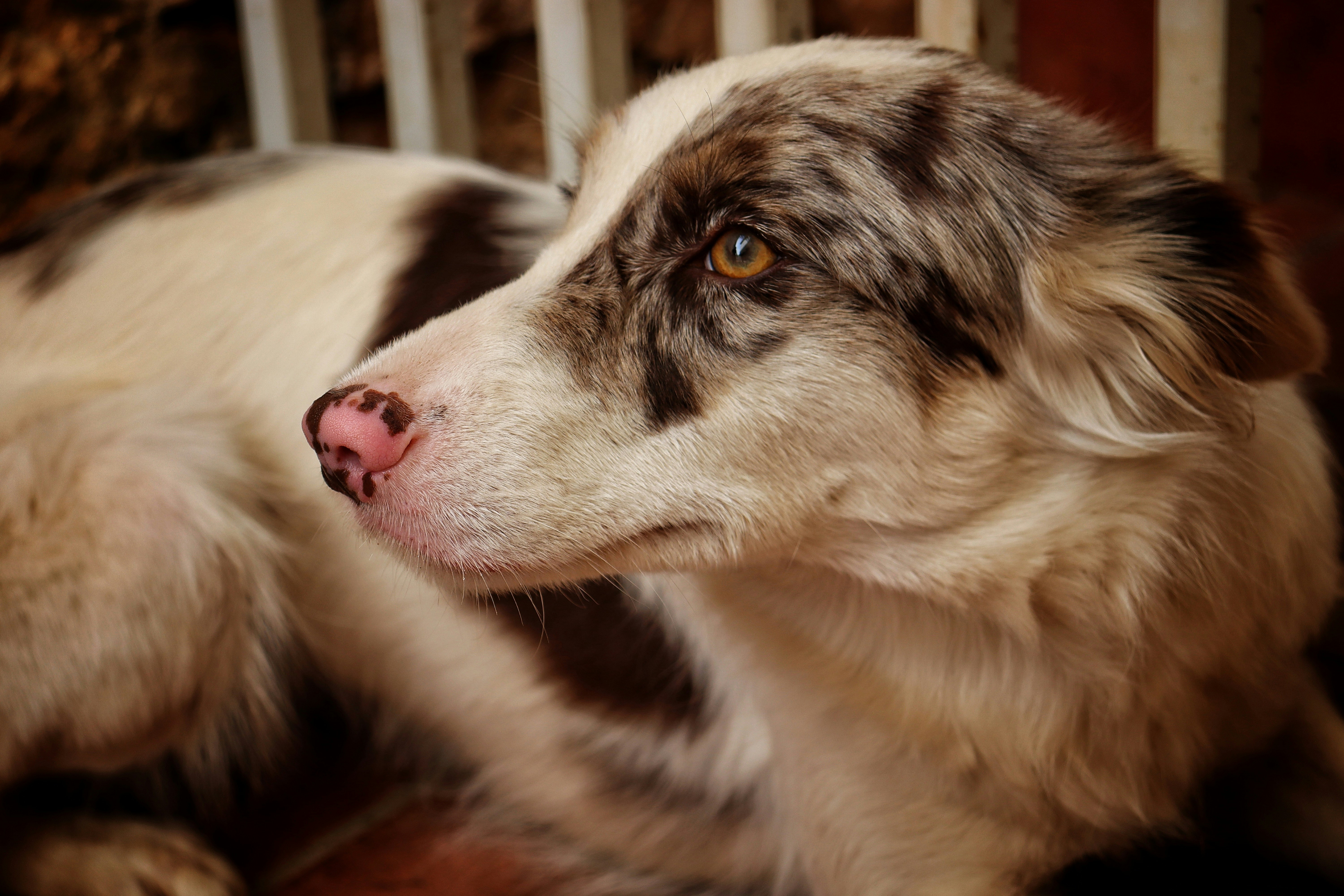 Photo by caio_delarolle