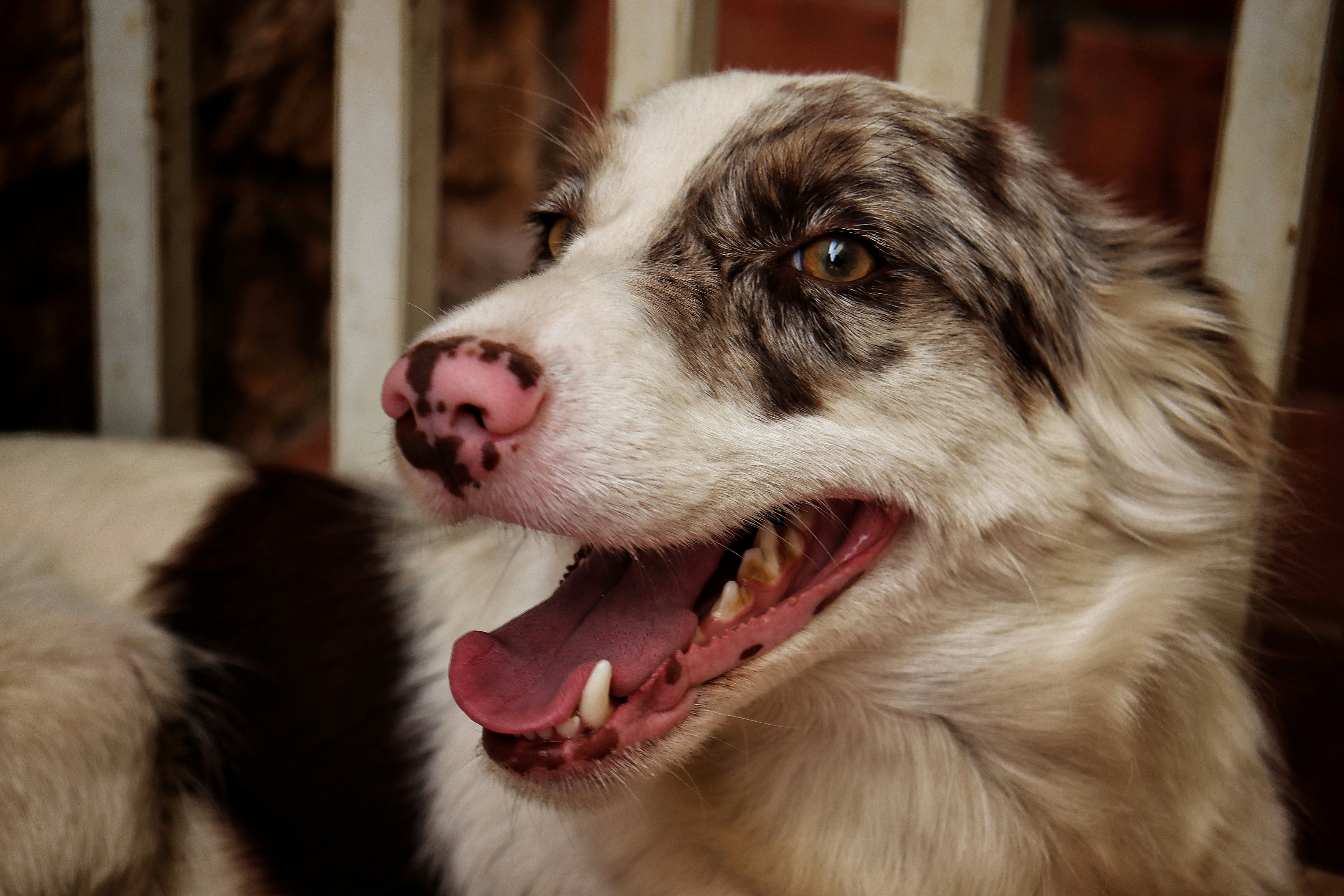 Photo by caio_delarolle