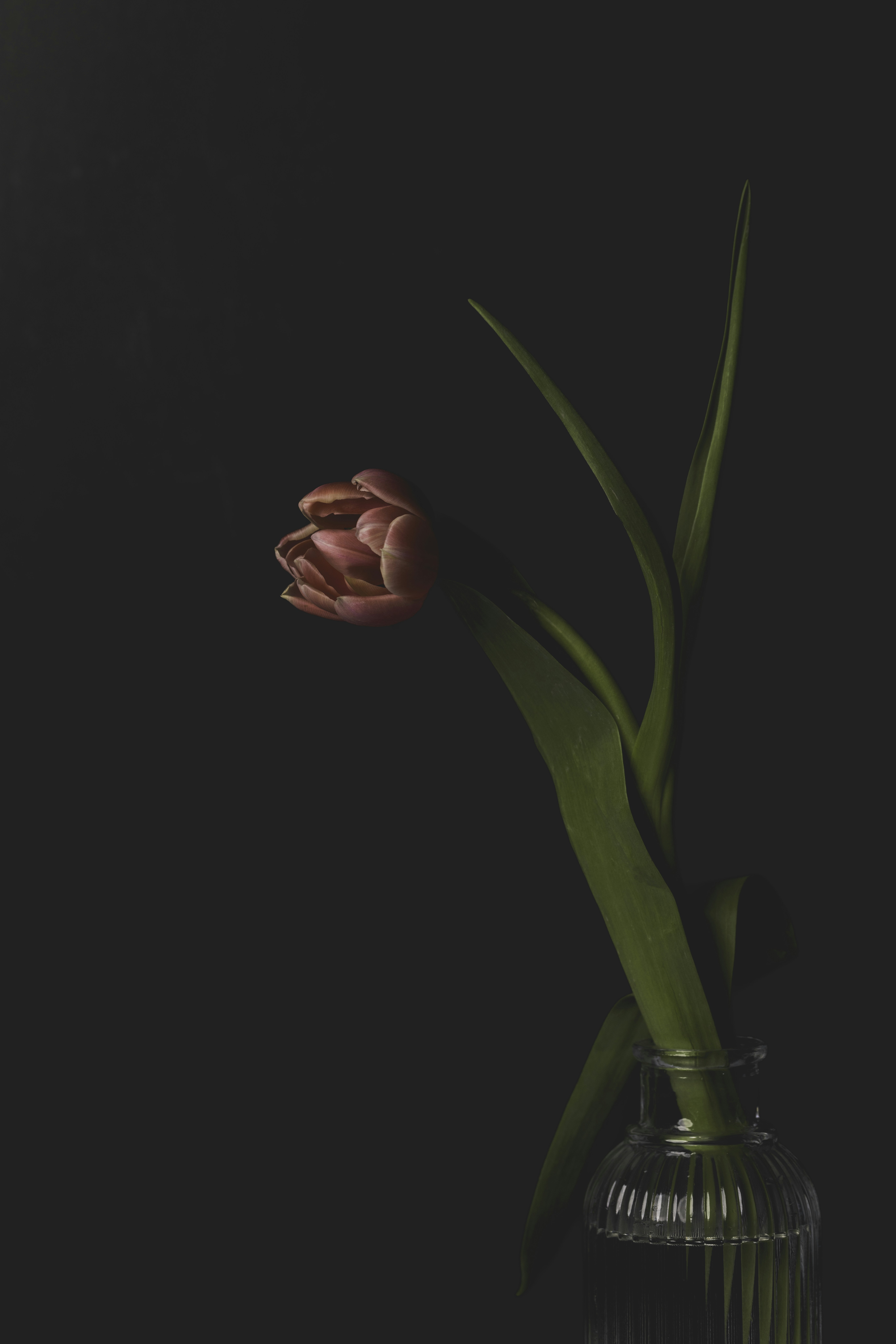 Photo by native7photo