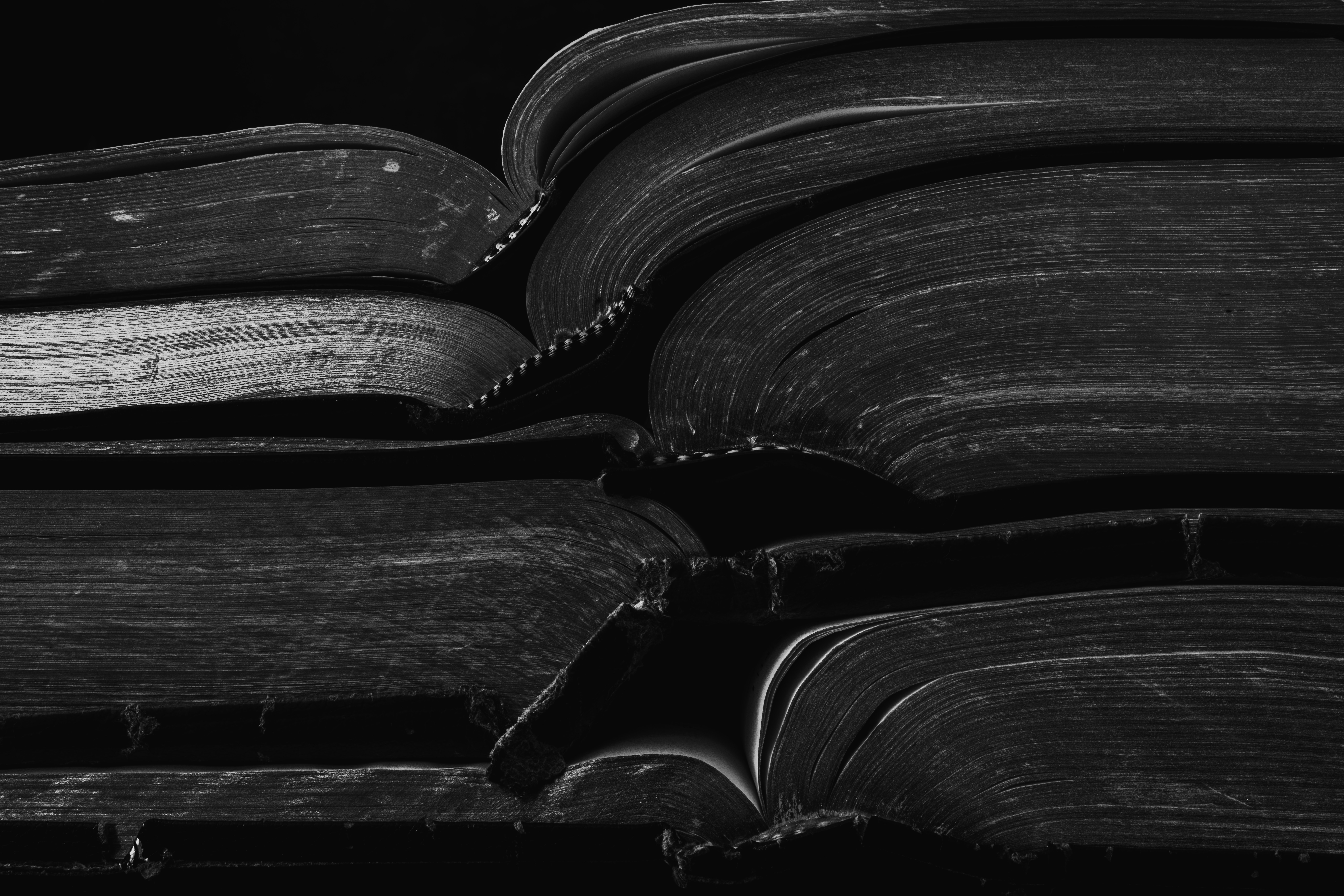 Photo by native7photo