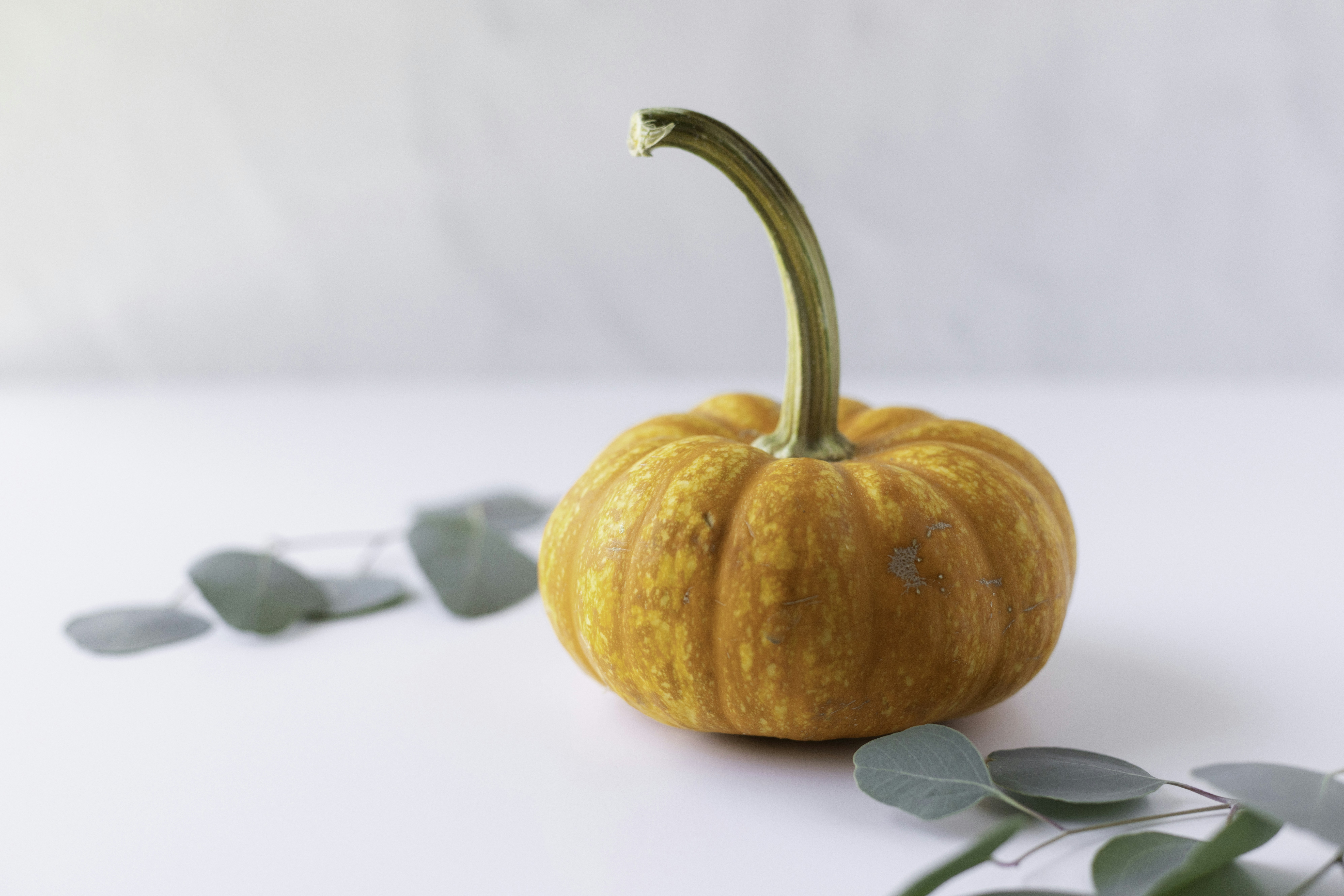 Photo by native7photo