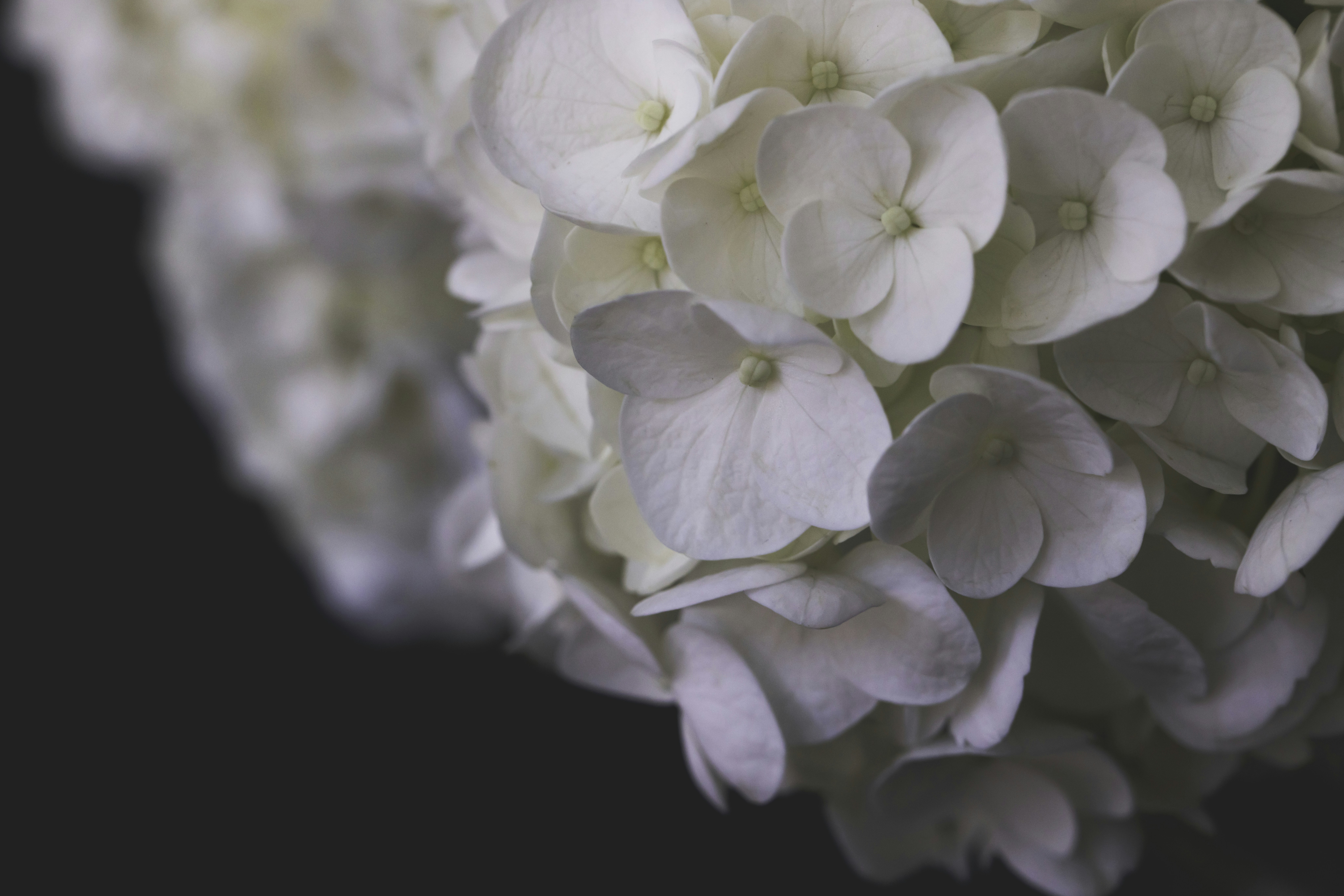 Photo by native7photo