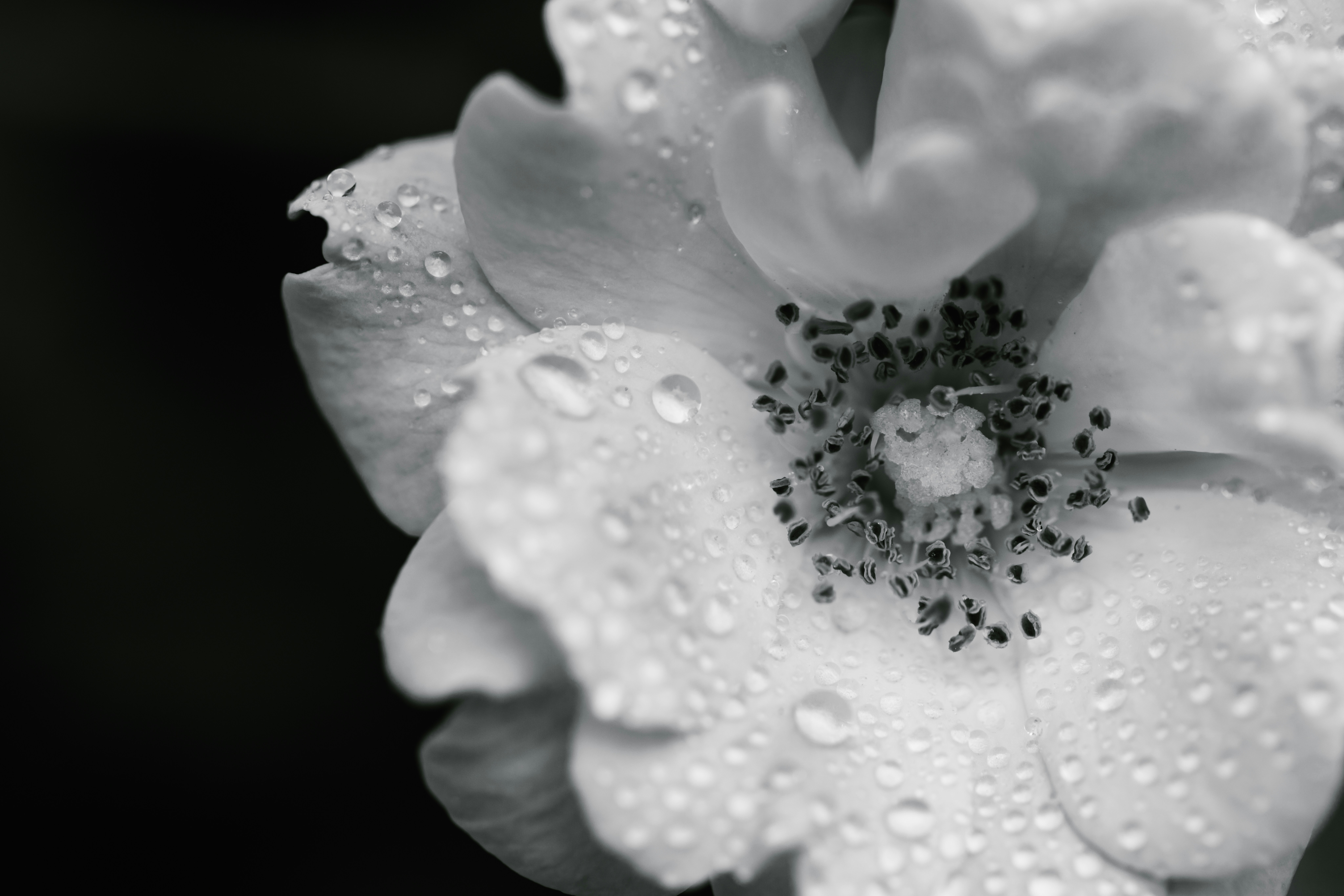 Photo by native7photo