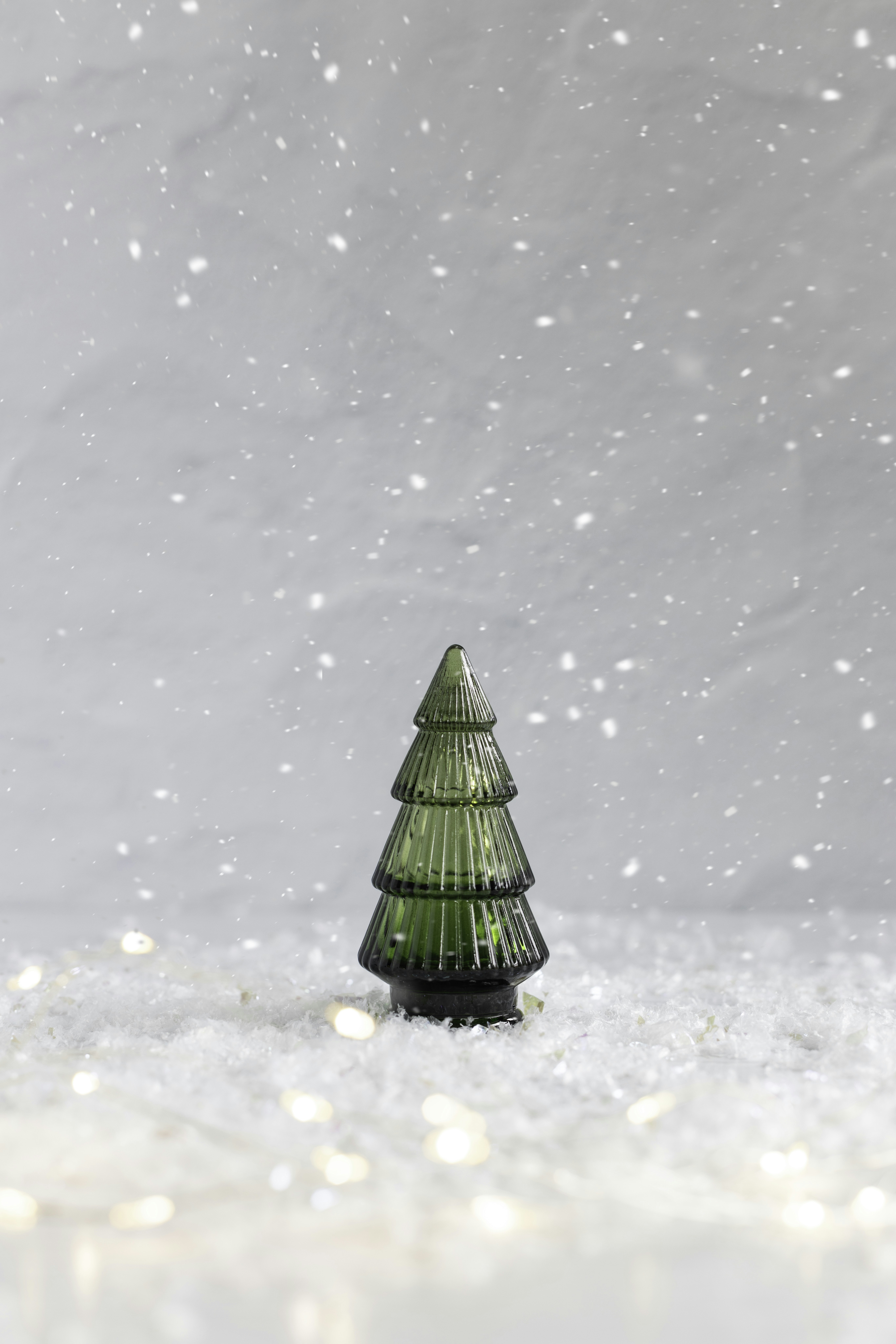 Photo by native7photo