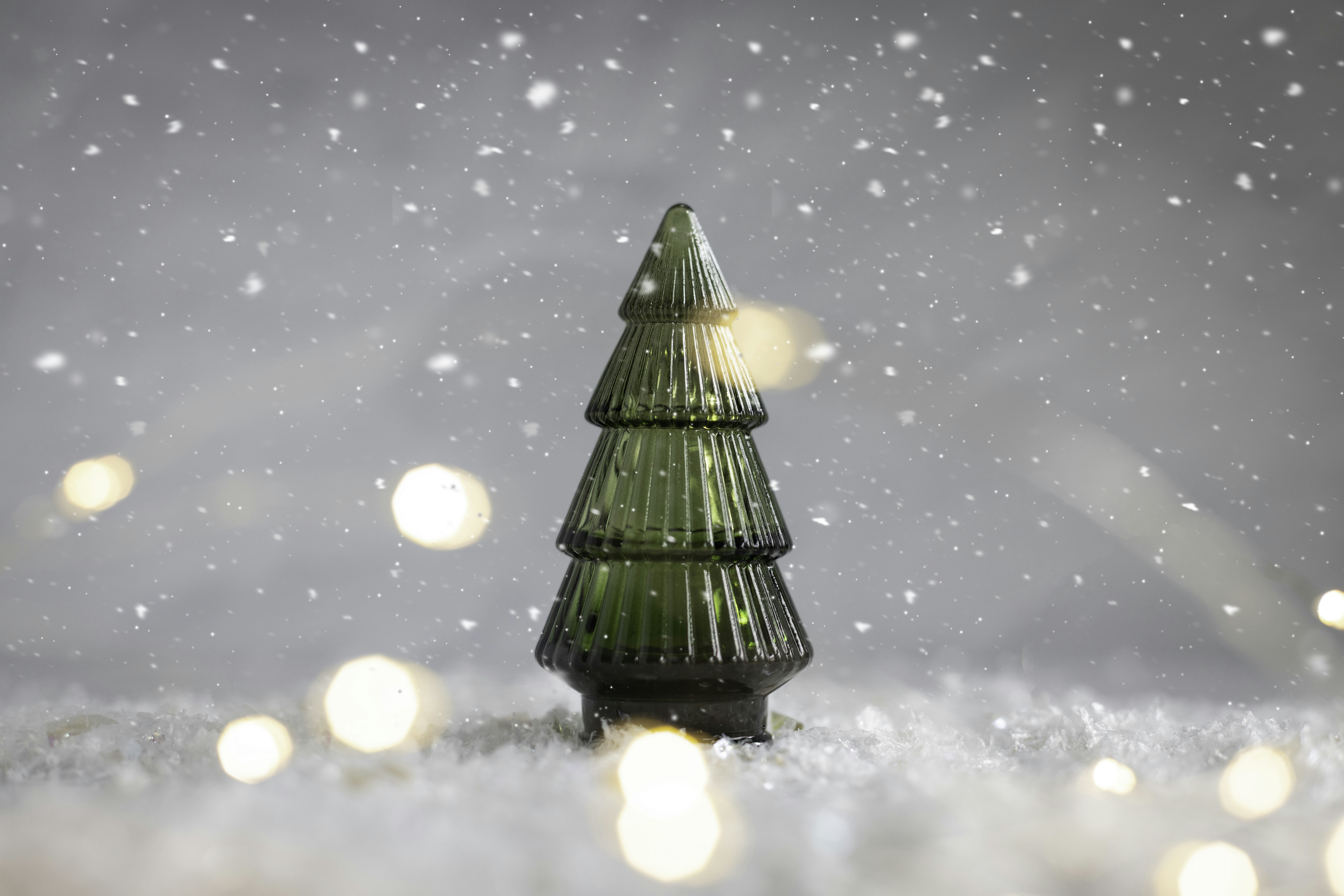 Photo by native7photo