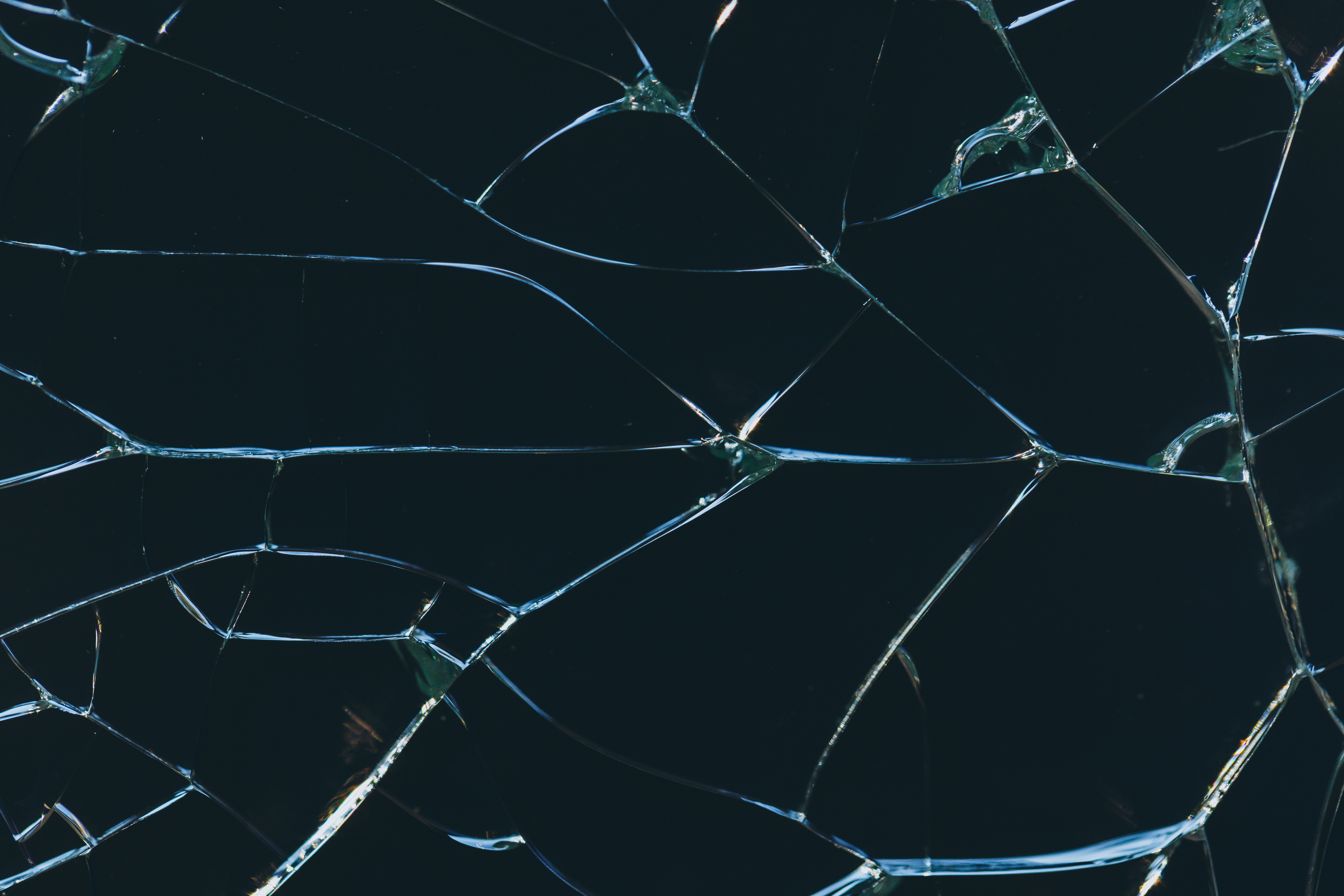 Let Me Be Delusional