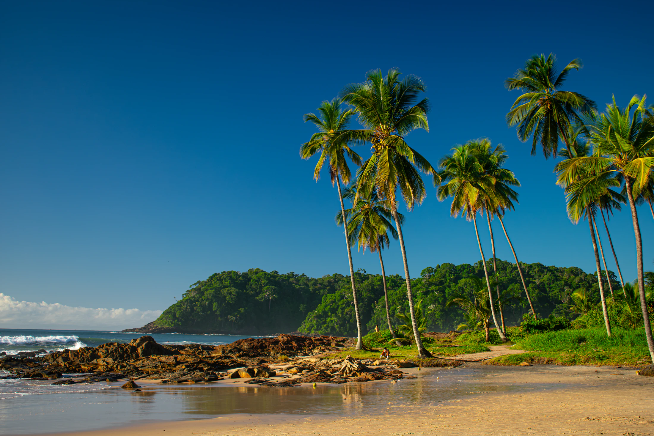 Praia de areia clara com coqueiros e morro de Mata Atlântica em Itacaré, no sul da Bahia