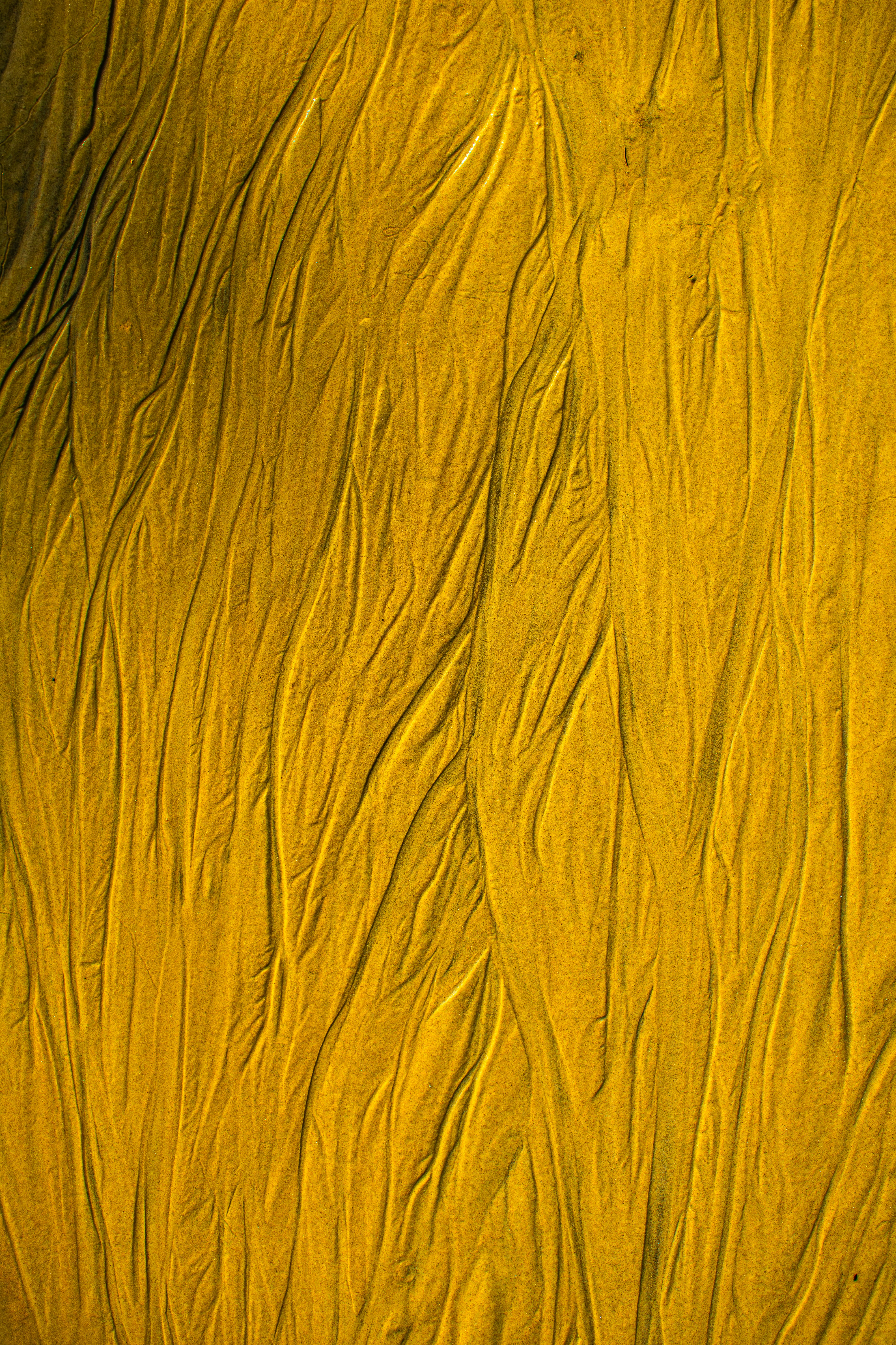 Photo by matheus_oliveira