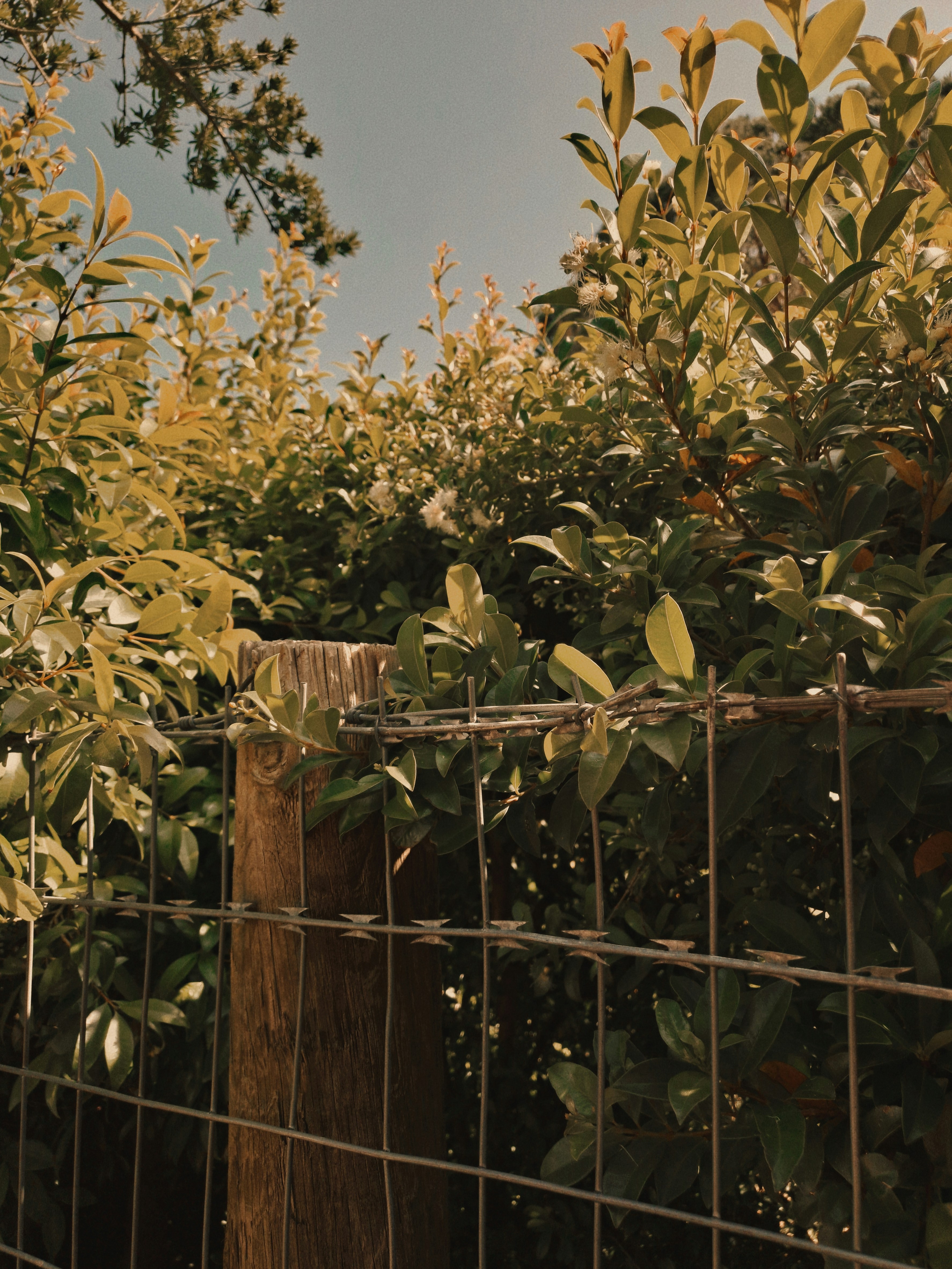 Photo by colouredmuseum