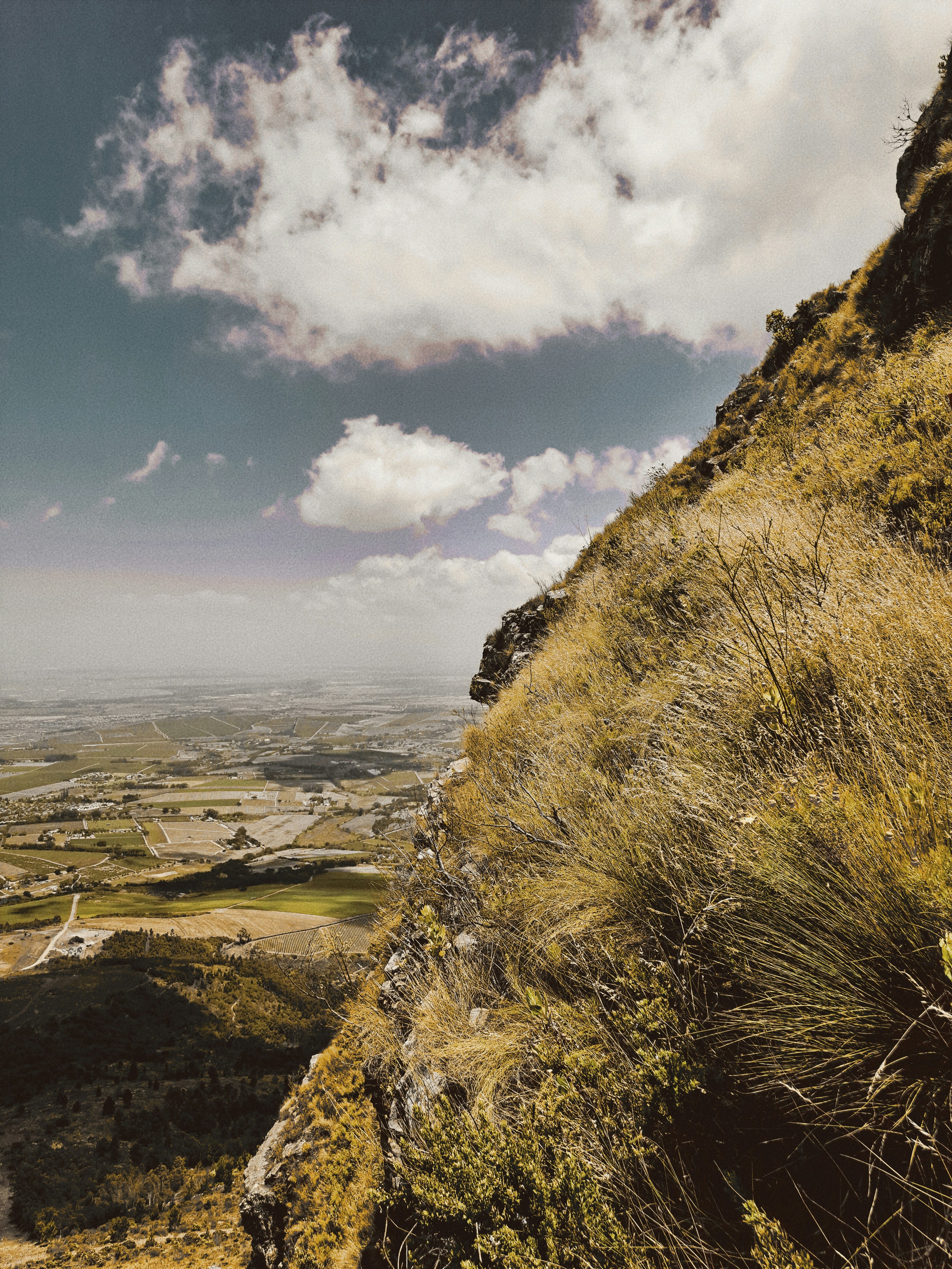 Photo by colouredmuseum