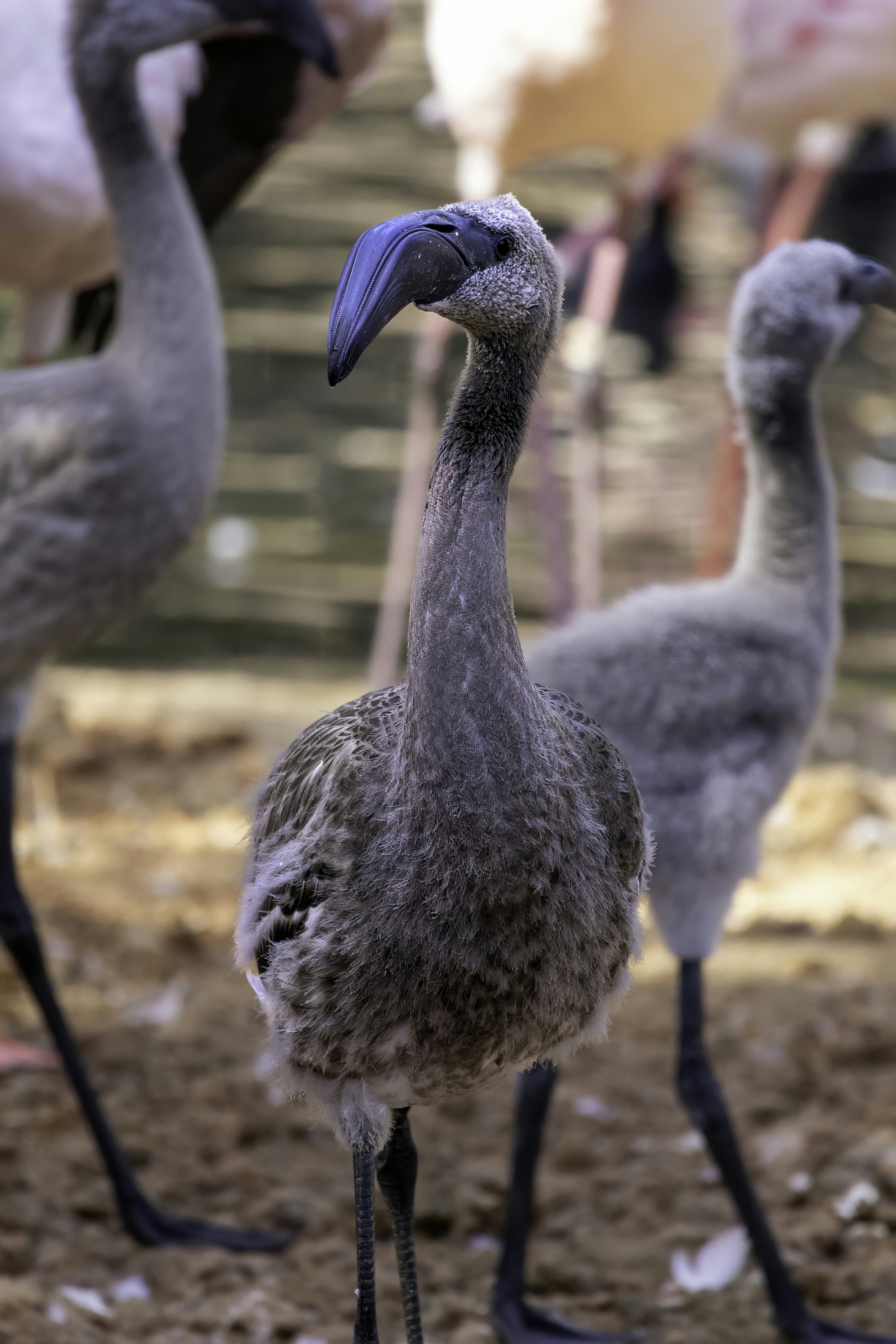 Photo by thedailystruggles